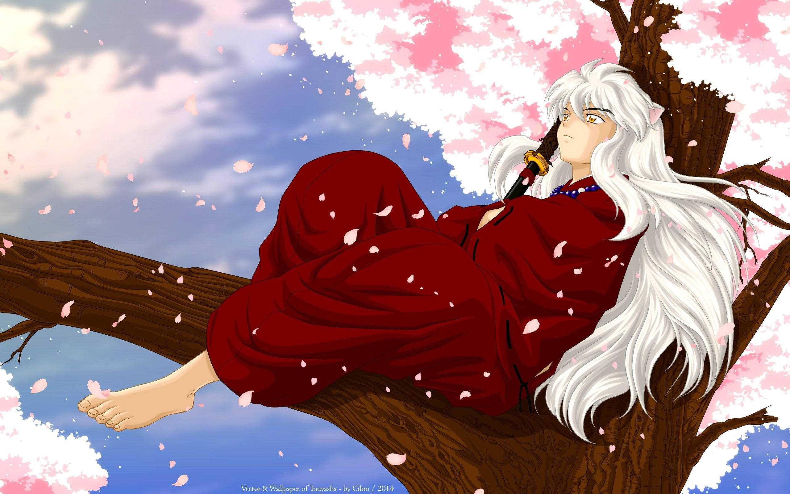 Inuyasha In Cherry Blossom Tree Background