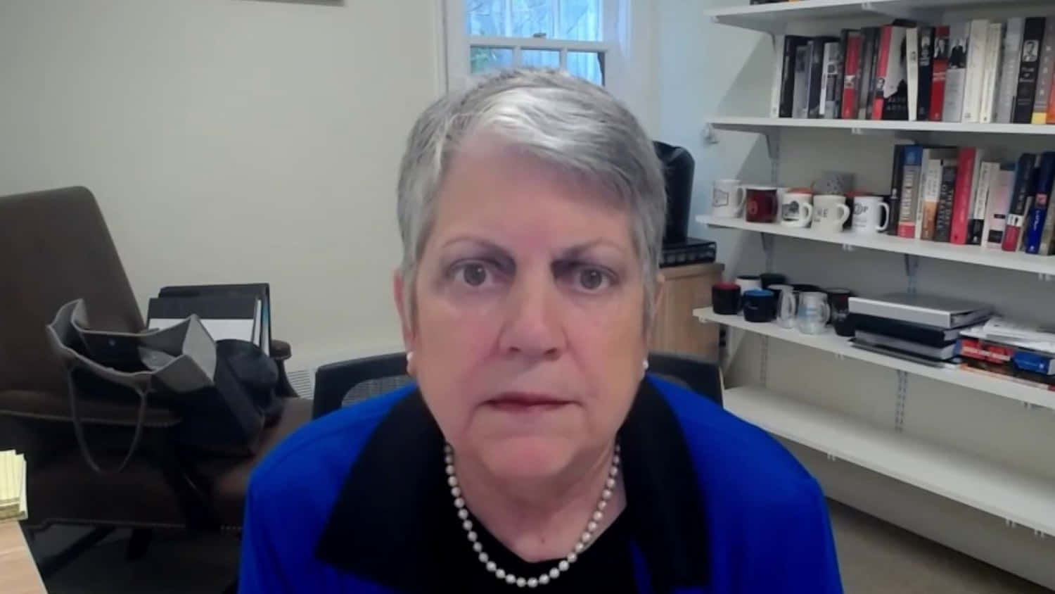 Download Janet Napolitano On Zoom Wallpaper | Wallpapers.com