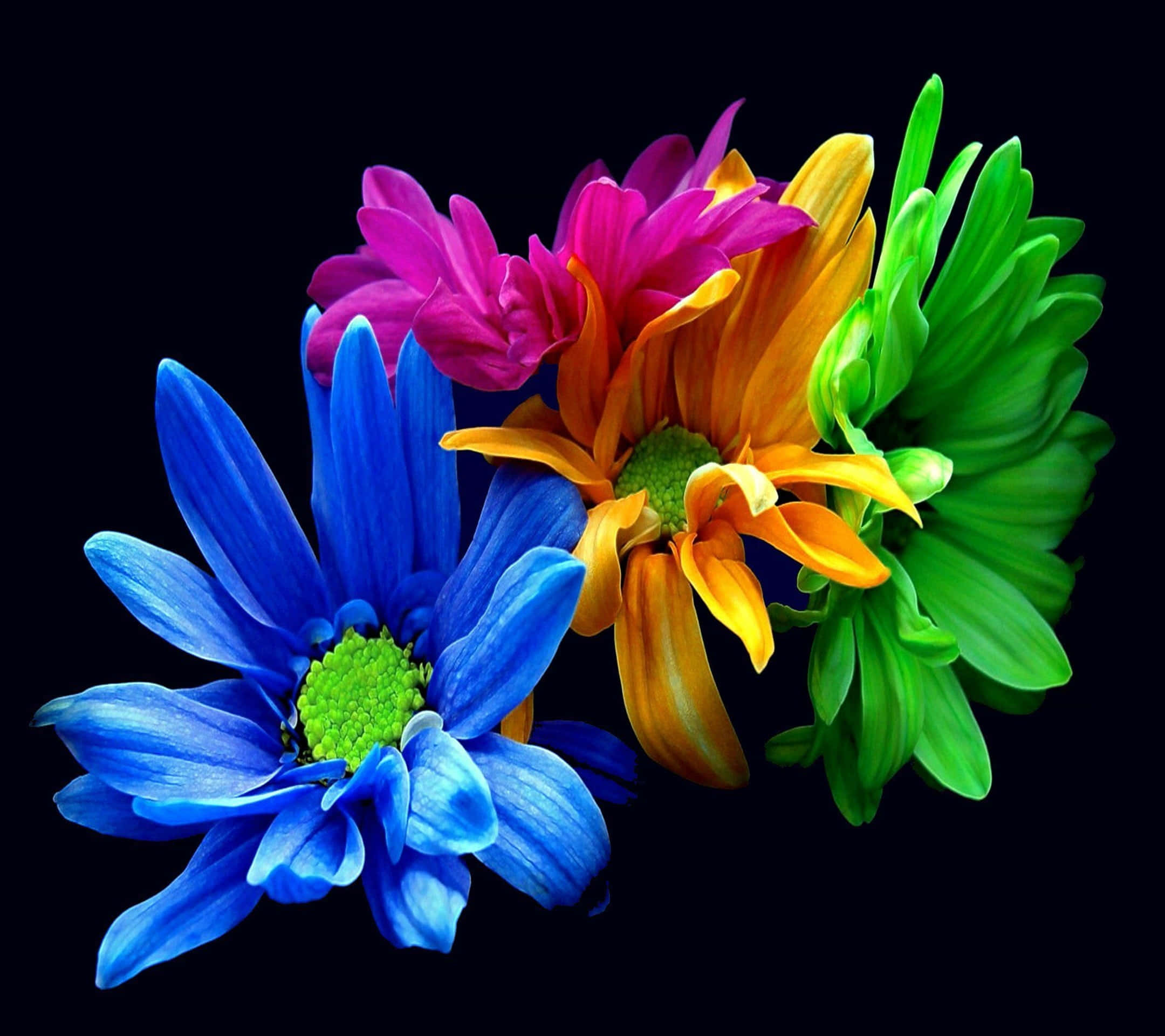 Download Cute and Colorful Kawaii Flower with a Smiling Face Wallpaper ...