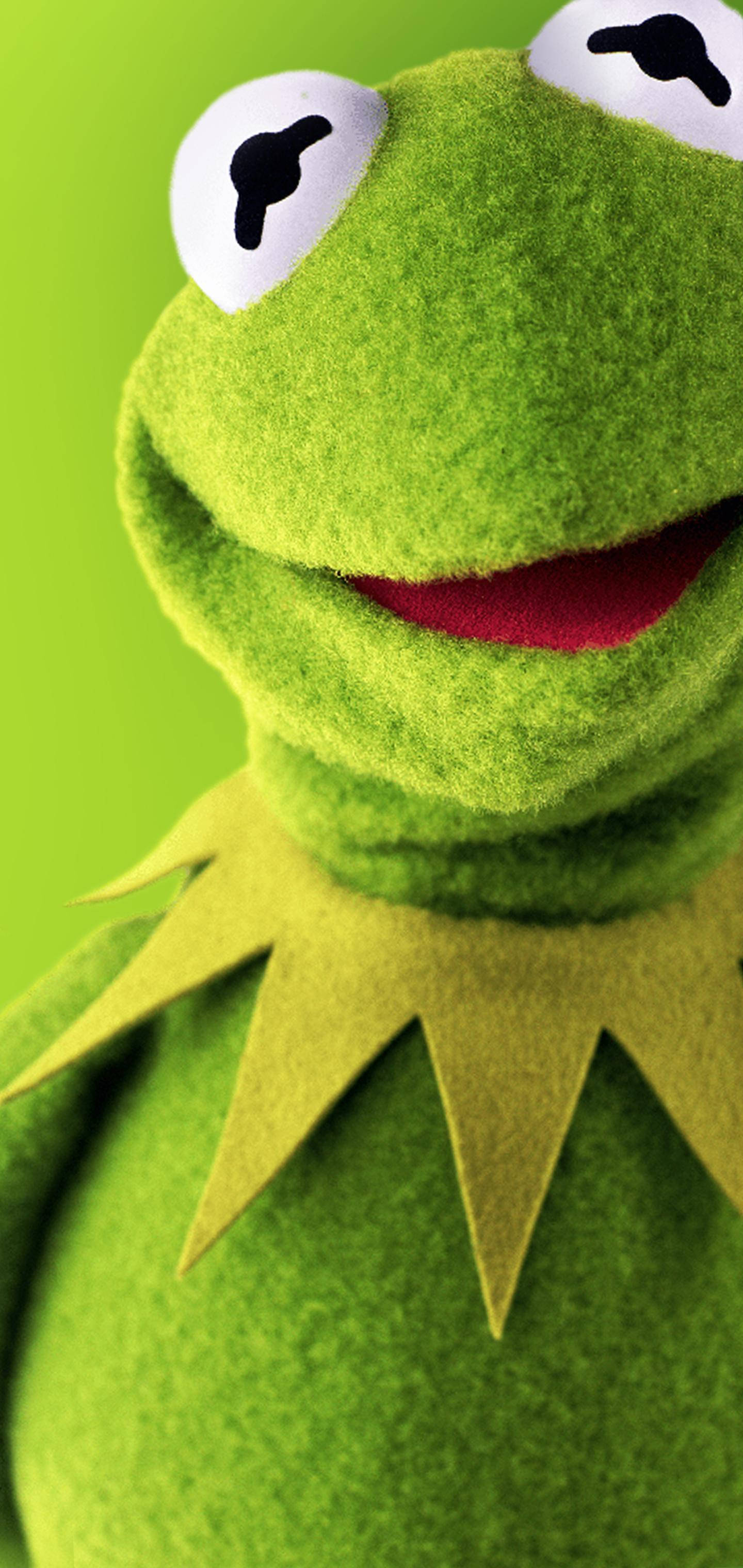Download Kermit The Frog Smiling Wallpaper 