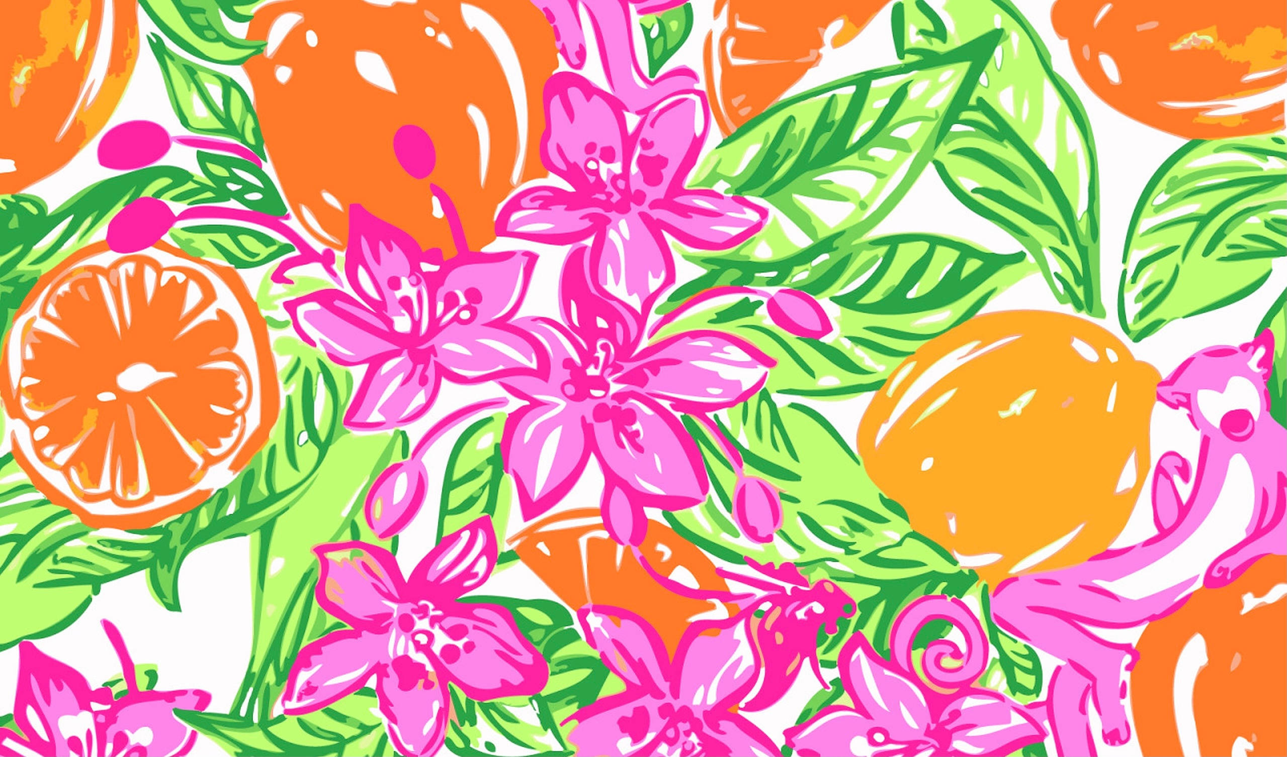 Downloaden Lilly Pulitzer Orangen Wallpapers Com   Lilly Pulitzer Oranges 9elg90o8ocikfyzs 