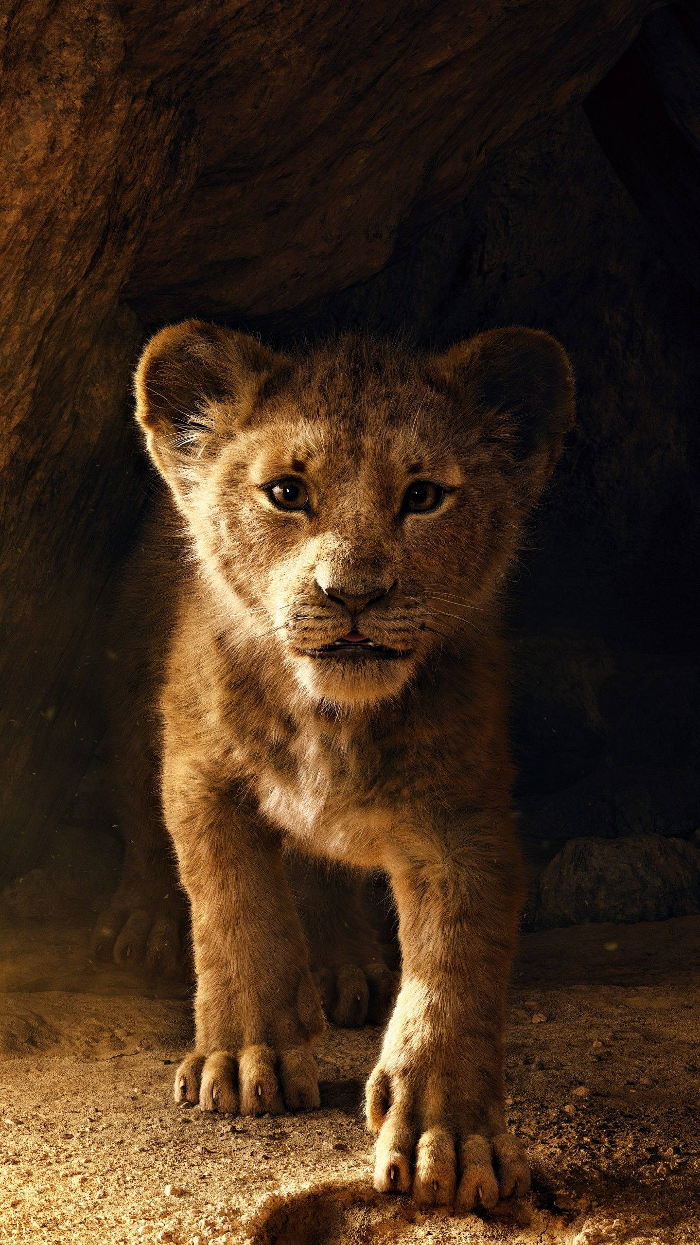 Lion King Baby Simba Background