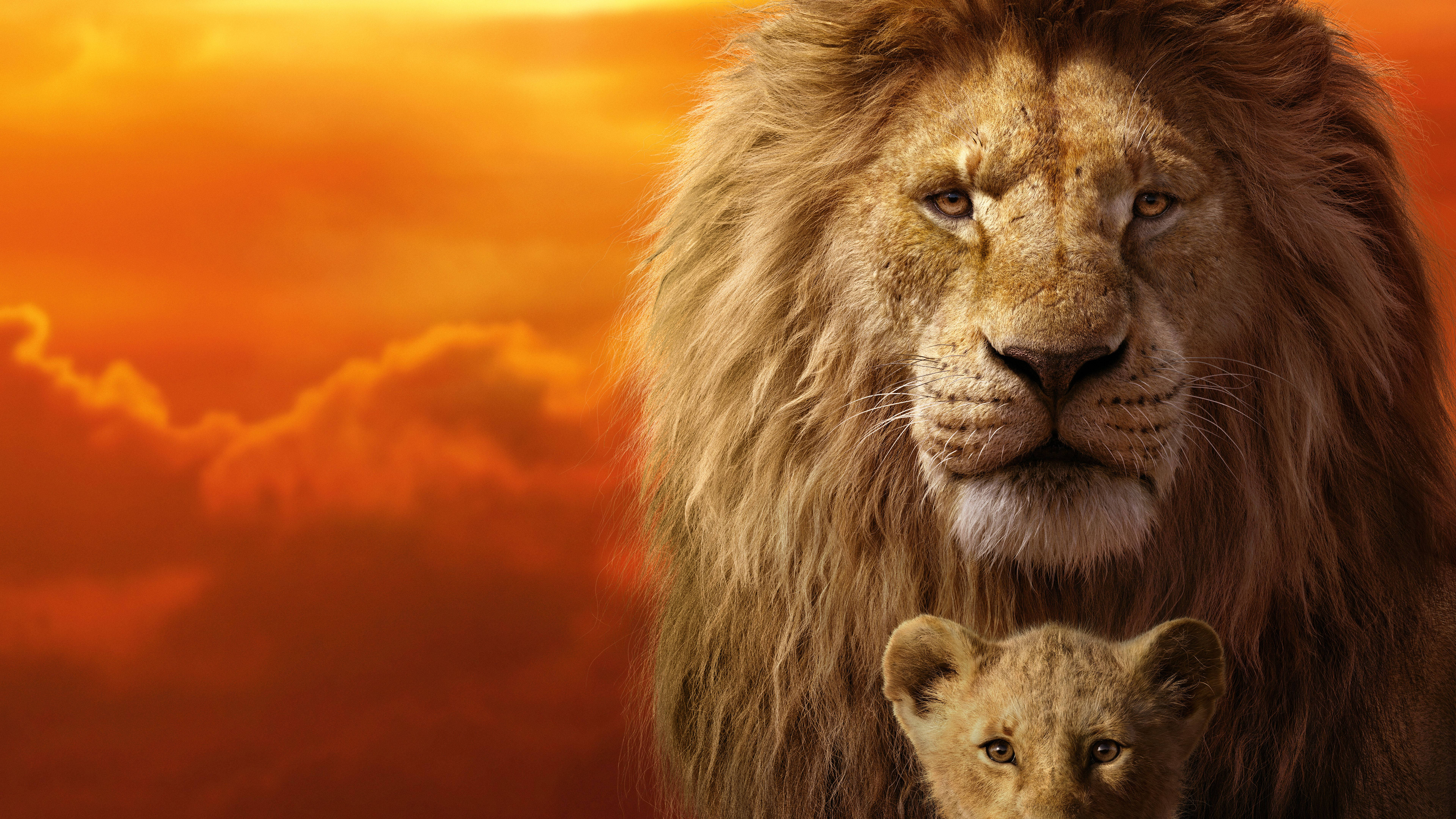 Lion King Mufasa And Simba Background
