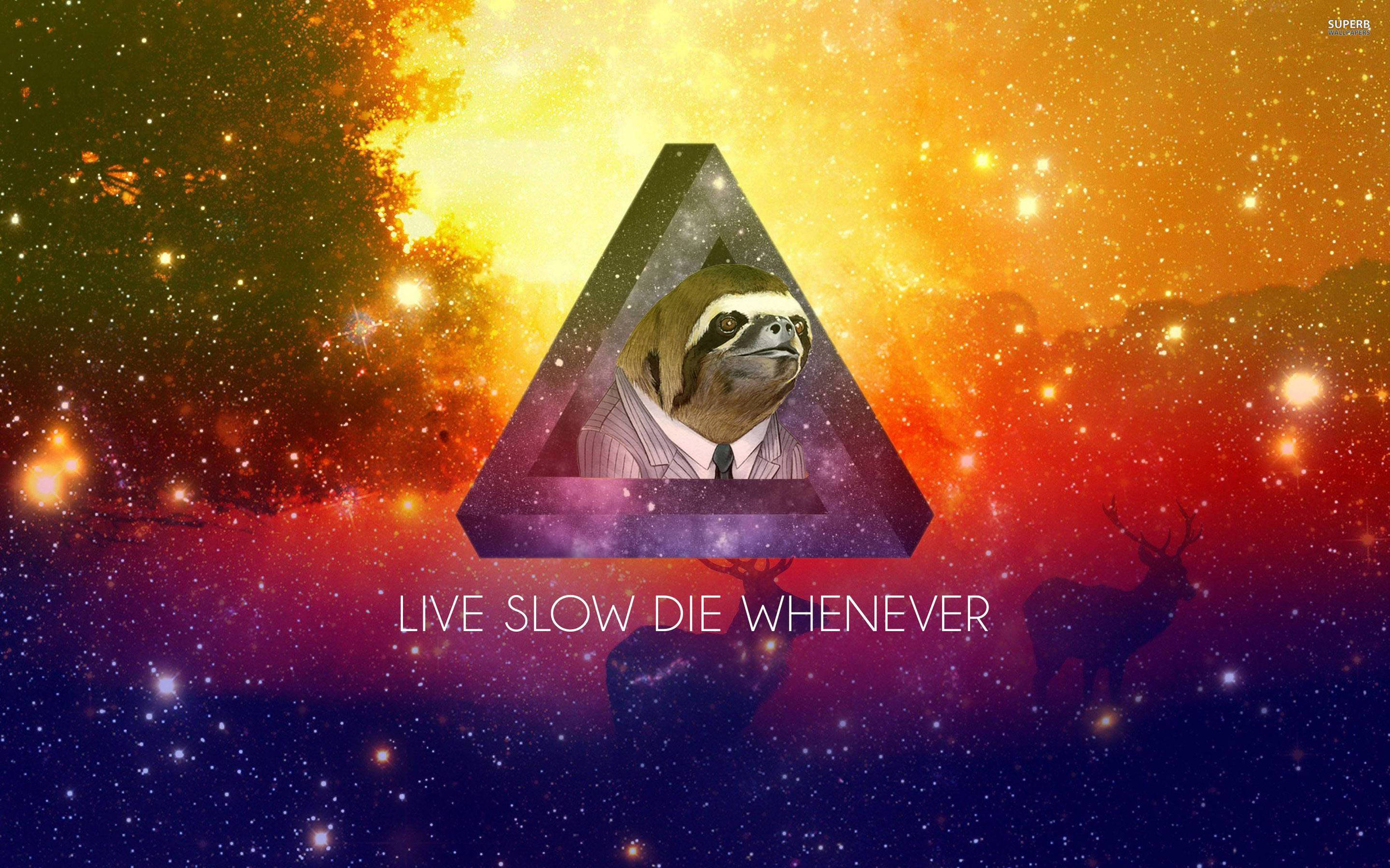 Live Slow Die Whenever Sloth Background