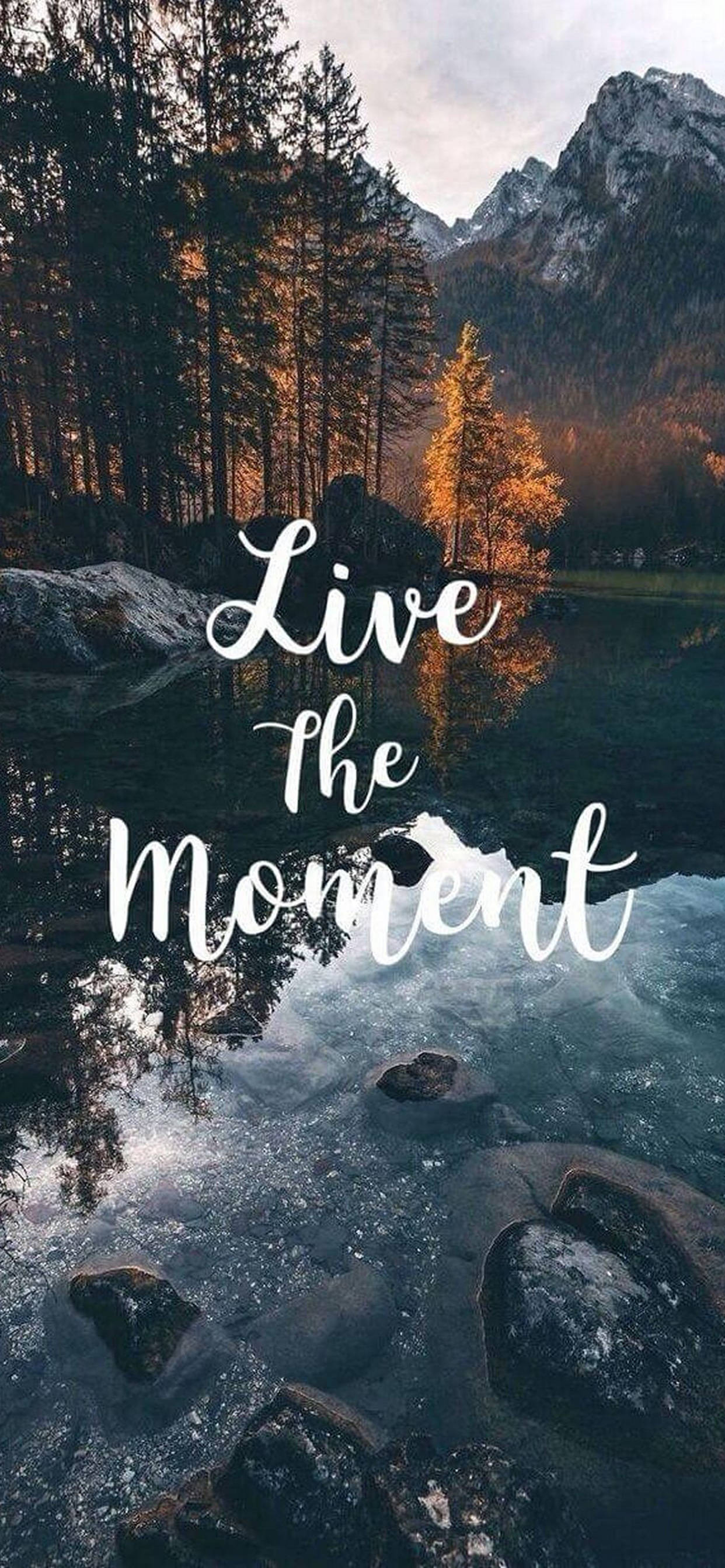 Download Live The Moment Motivational