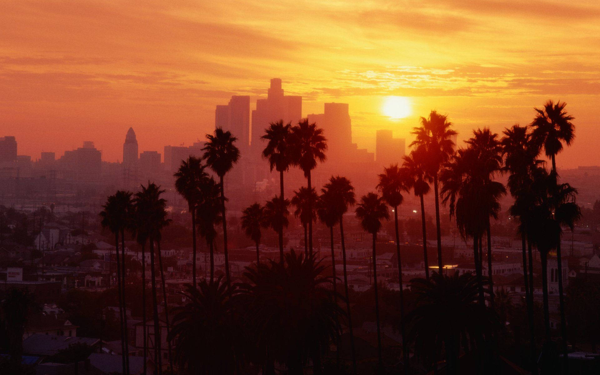 Los Angeles City Downtown Sunset Background