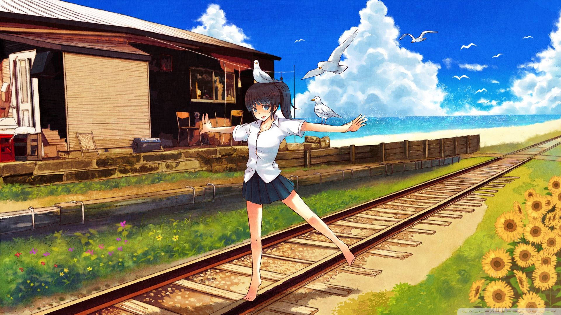 Lovely Girl Anime Scenery Background