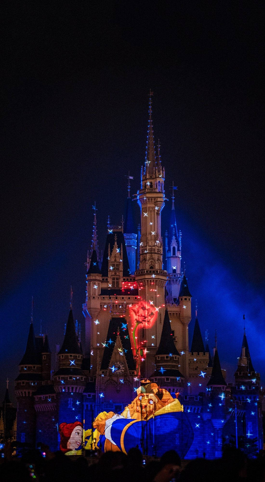 Magical Evening At Disney World Background
