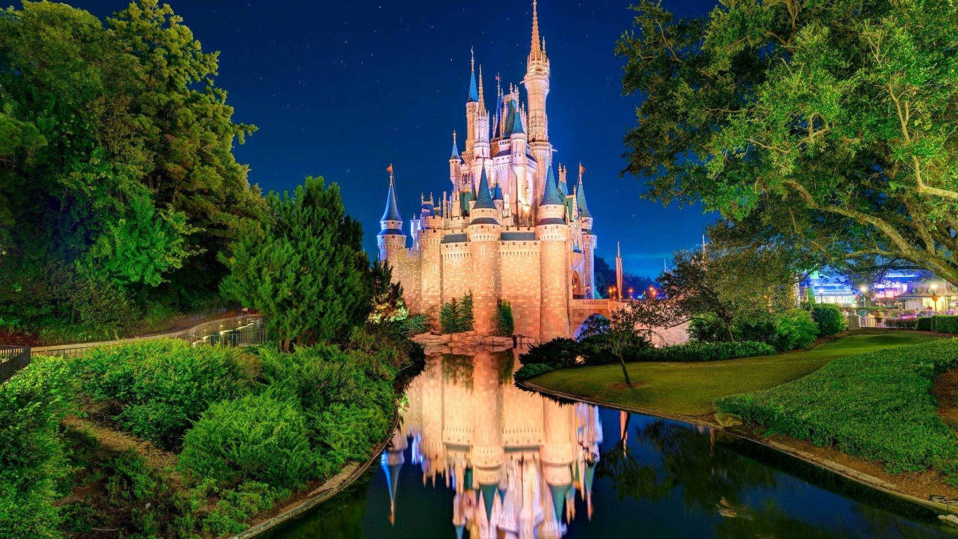 Magnificent Disney World Castle Background