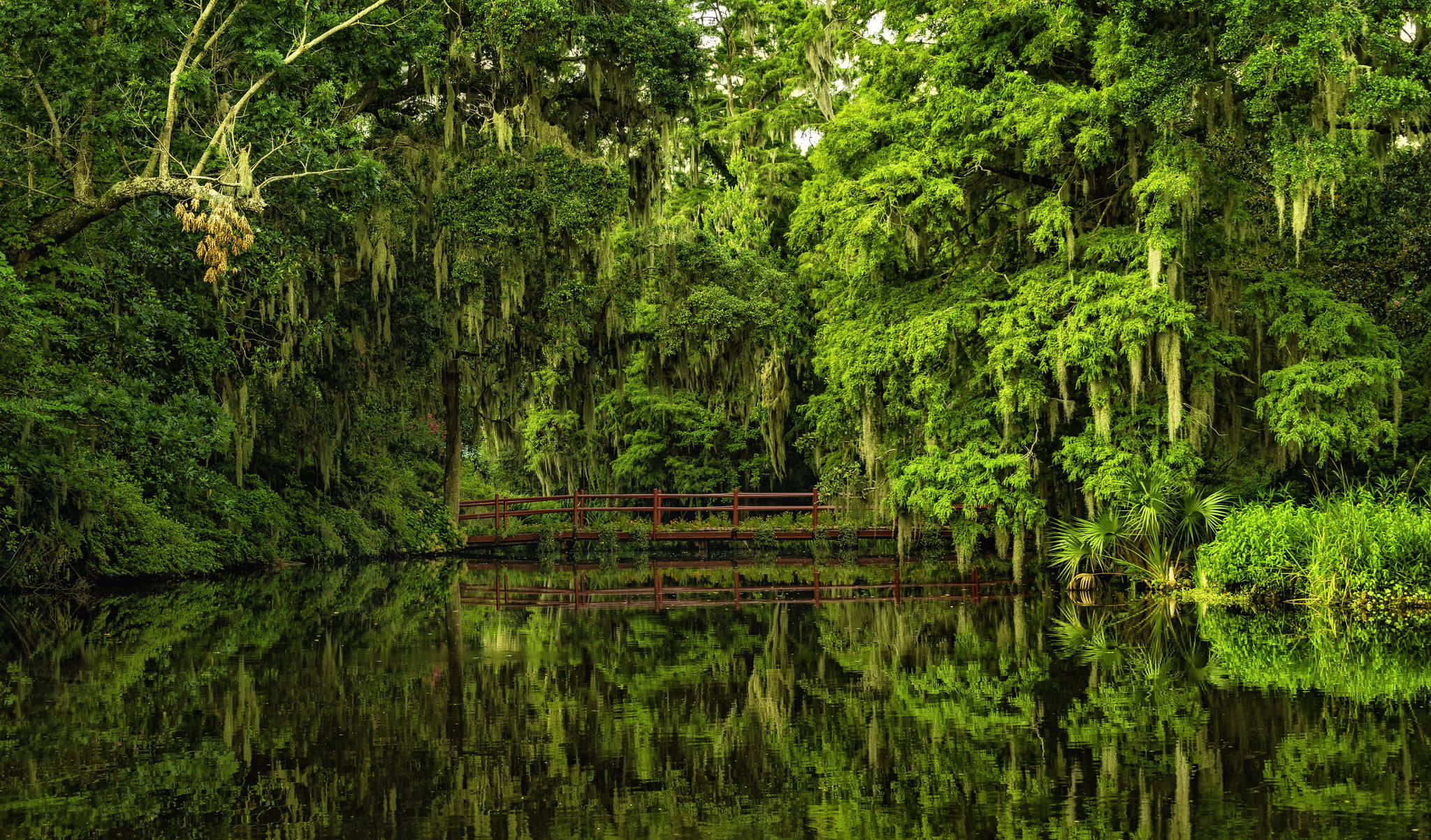 Download Magnolia Plantation And Gardens South Carolina Wallpaper
