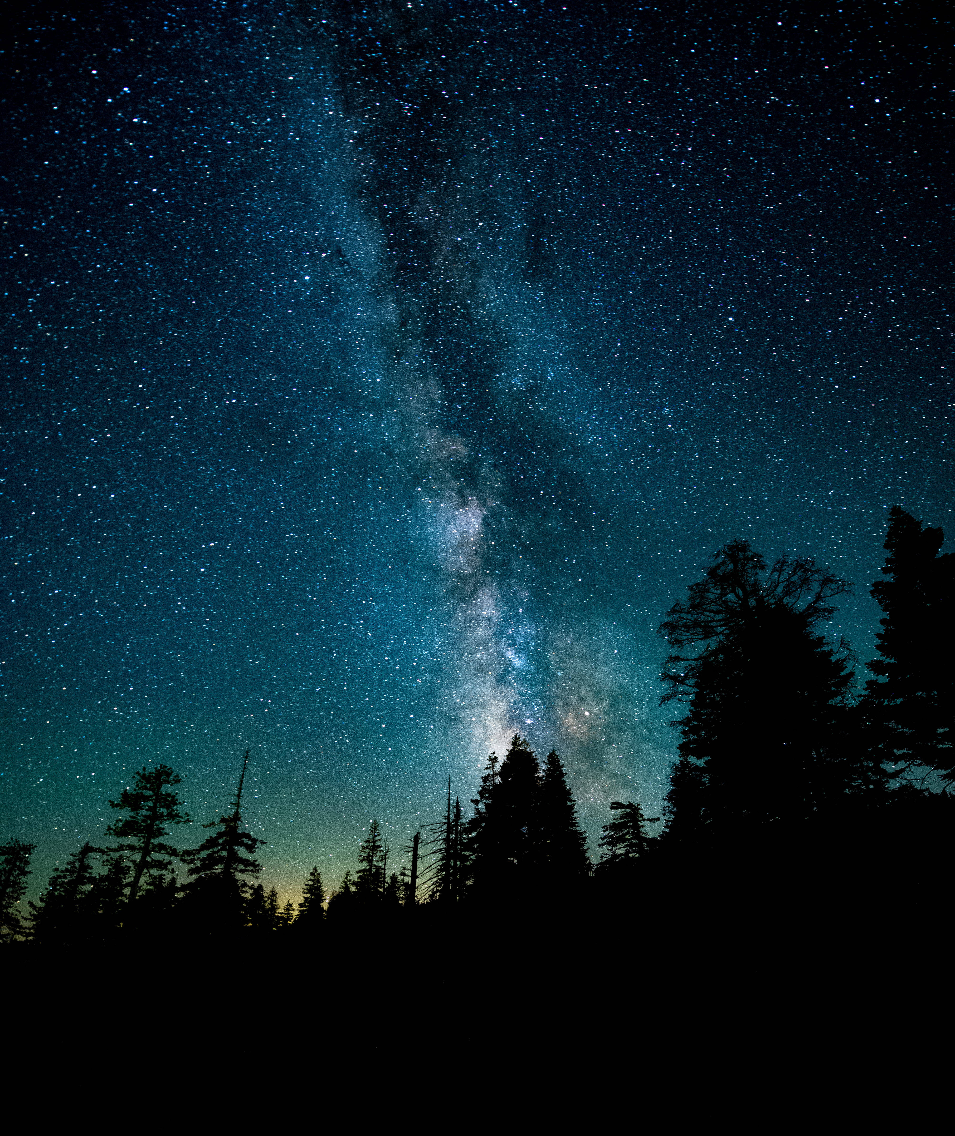 Заставка на телефон ночь. Ночное небо. Ночное небо со звездами. Звезда с неба. Млечный путь над лесом.