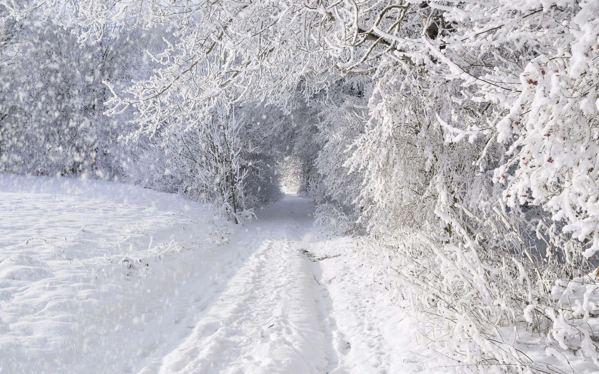 Повторяй снег. Снегопад. Зимняя дорога в лесу. Зима снег. Обои зима.