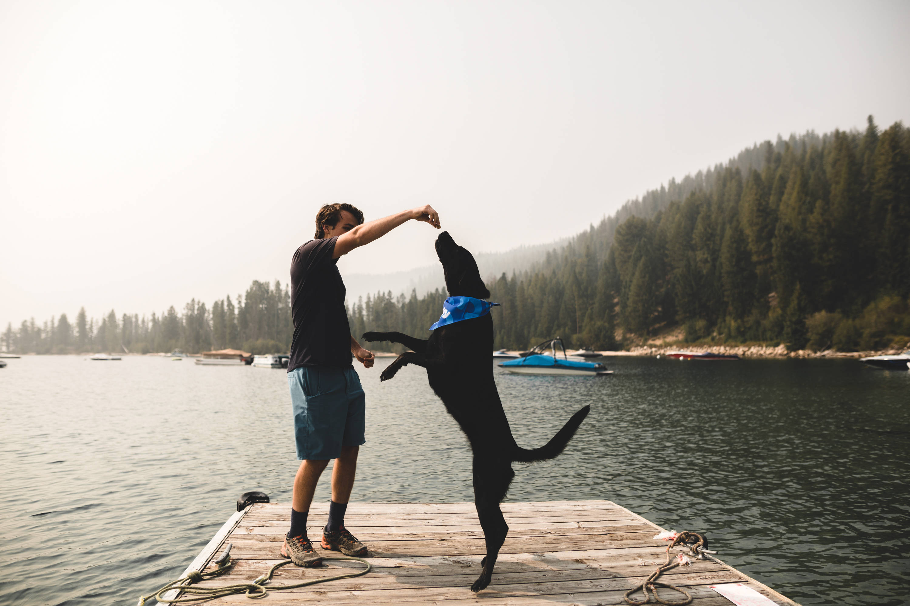 Man And Dog At Dock Background