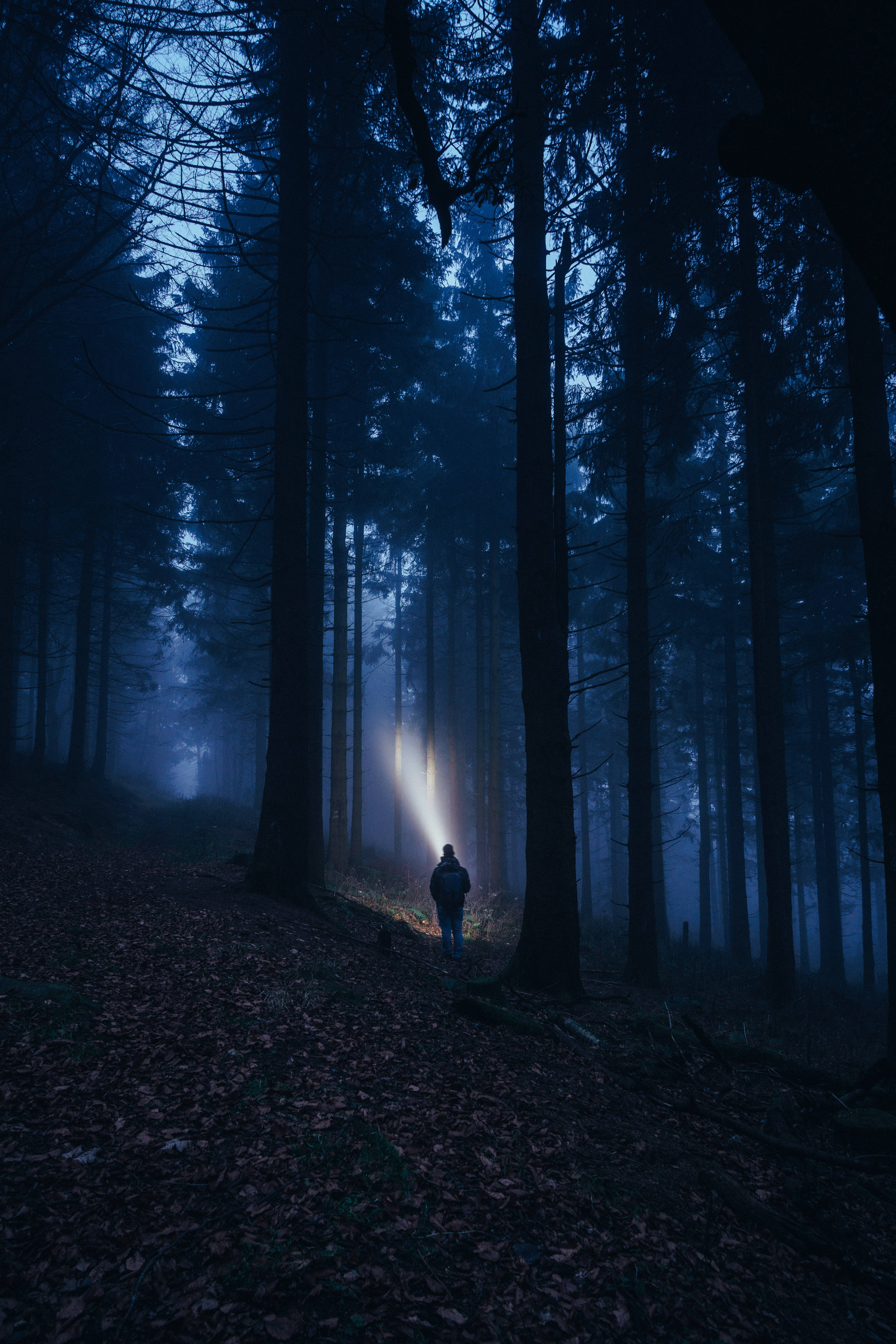 Man With Flashlight Dark Forest Background