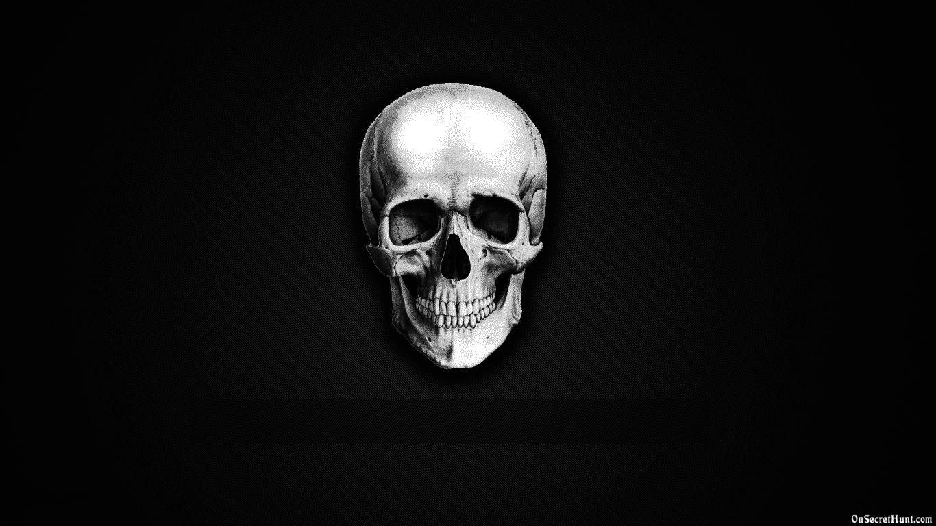 Monochrome Skeleton Skull Background
