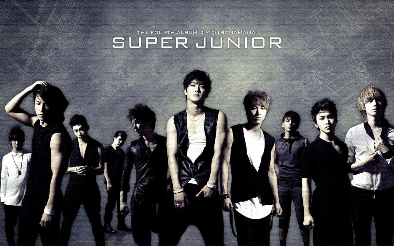 Super junior's