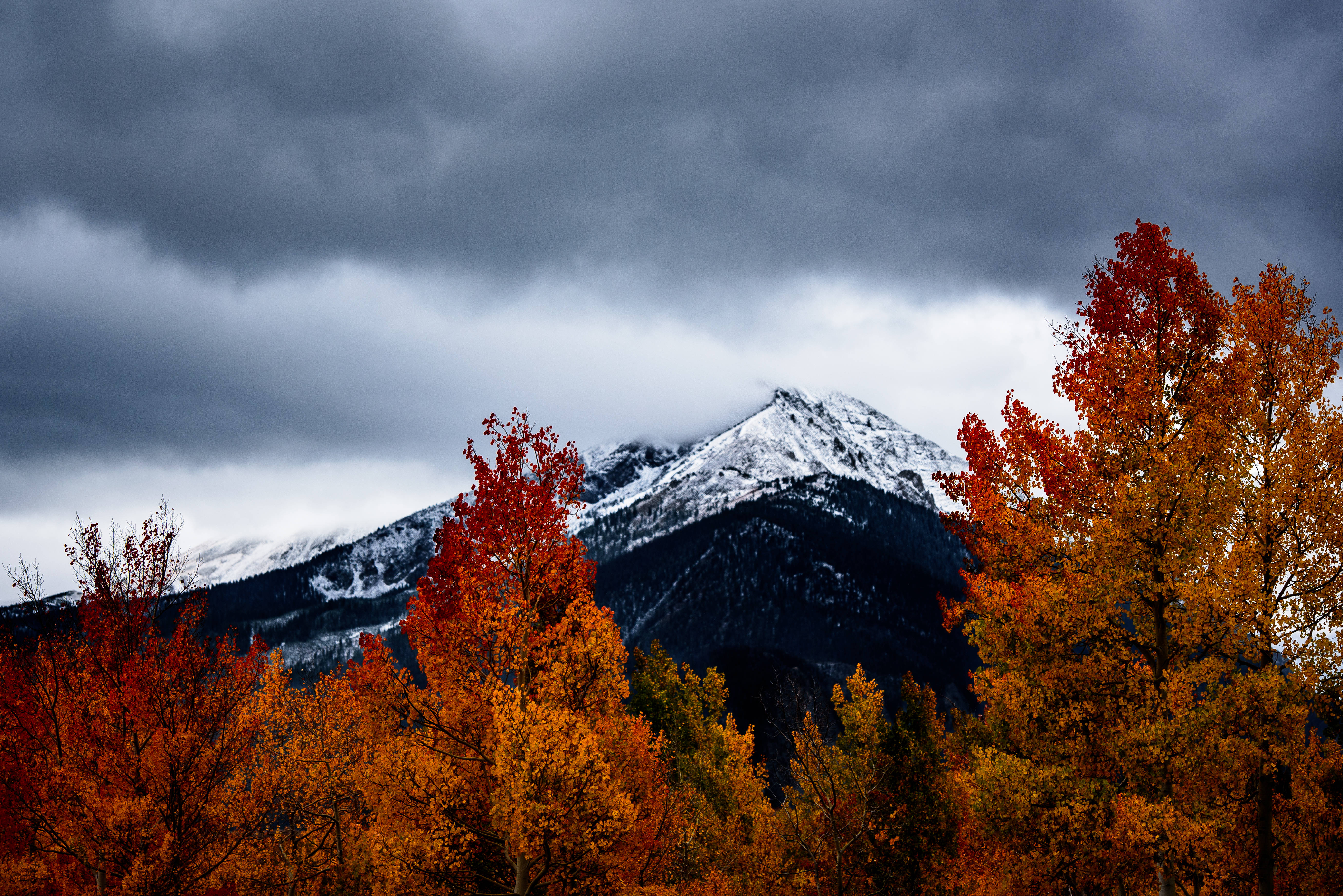 Mountains And Trees Fall Background