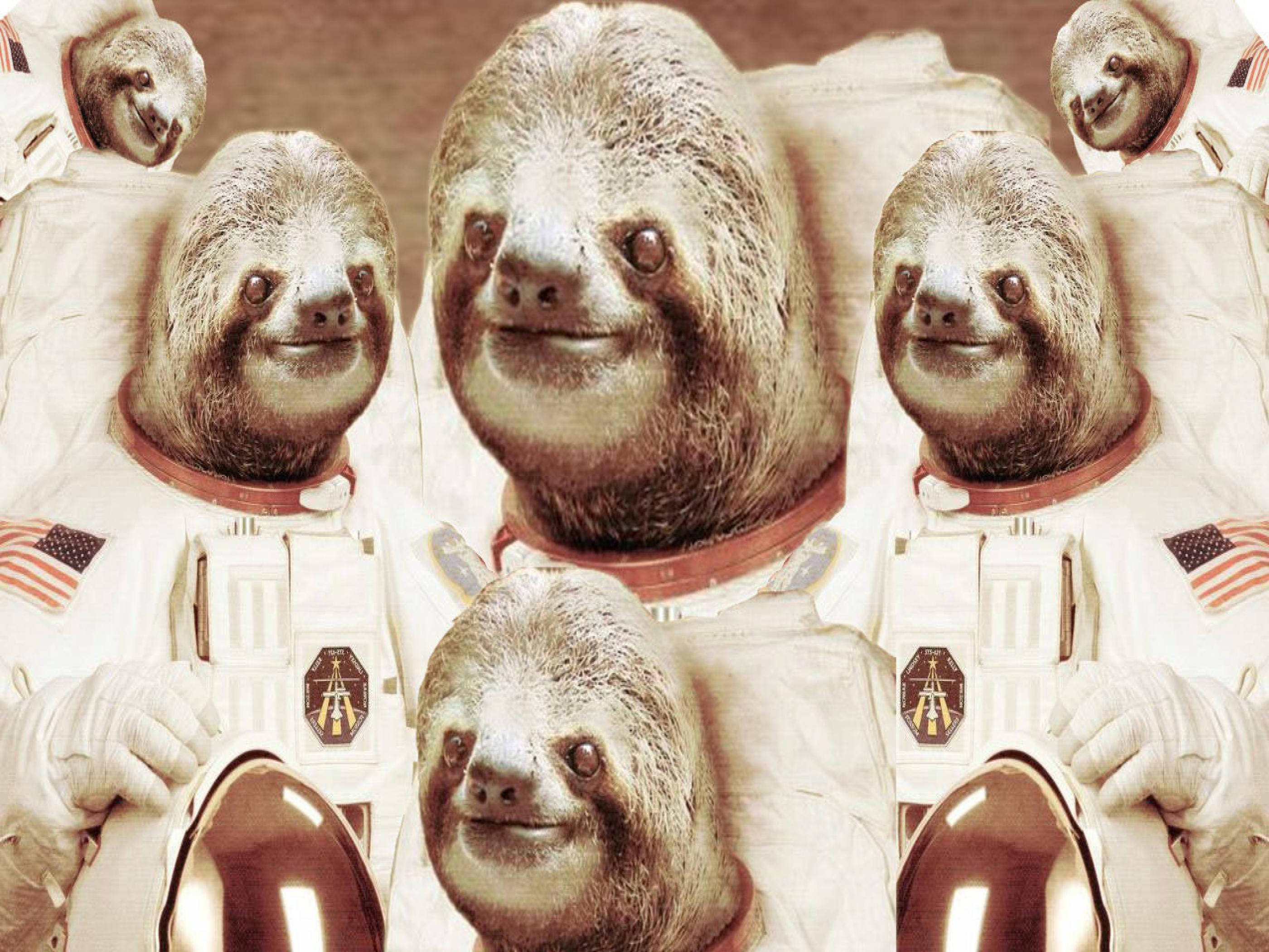 Multiple Sloth Astronauts Background