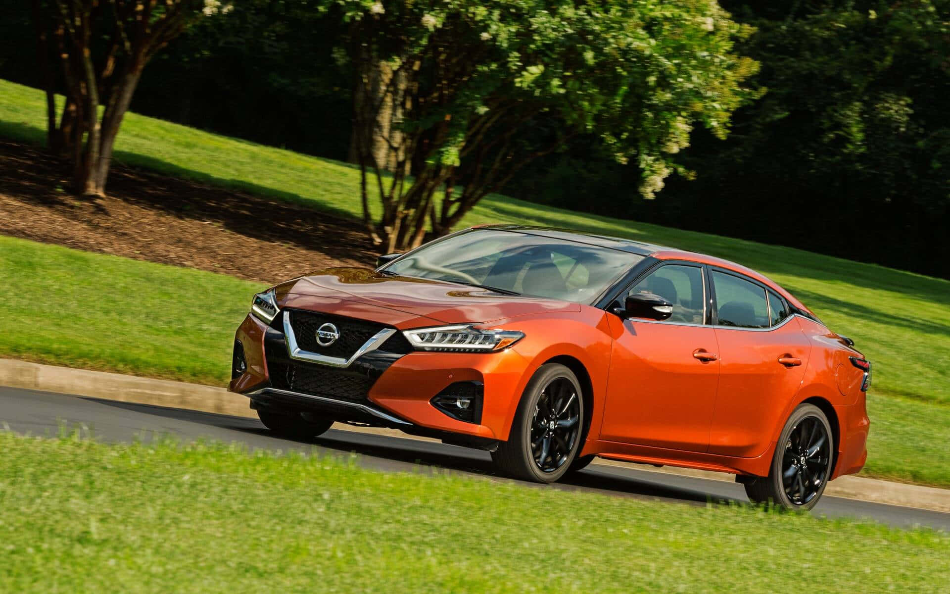 Nissan maxima. Nissan maxima 2020. Nissan maxima 2022. Nissan maxima 2021. Nissan maxima 2020 Nismo.