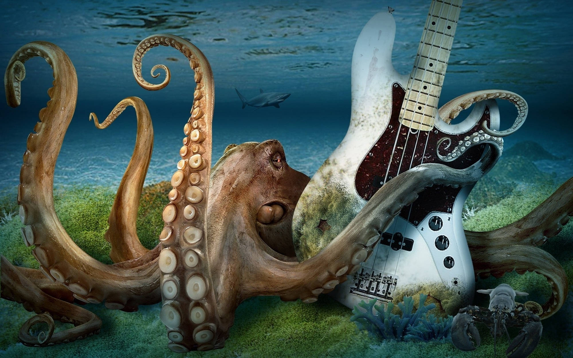 Octopus With Electric Guitar Background