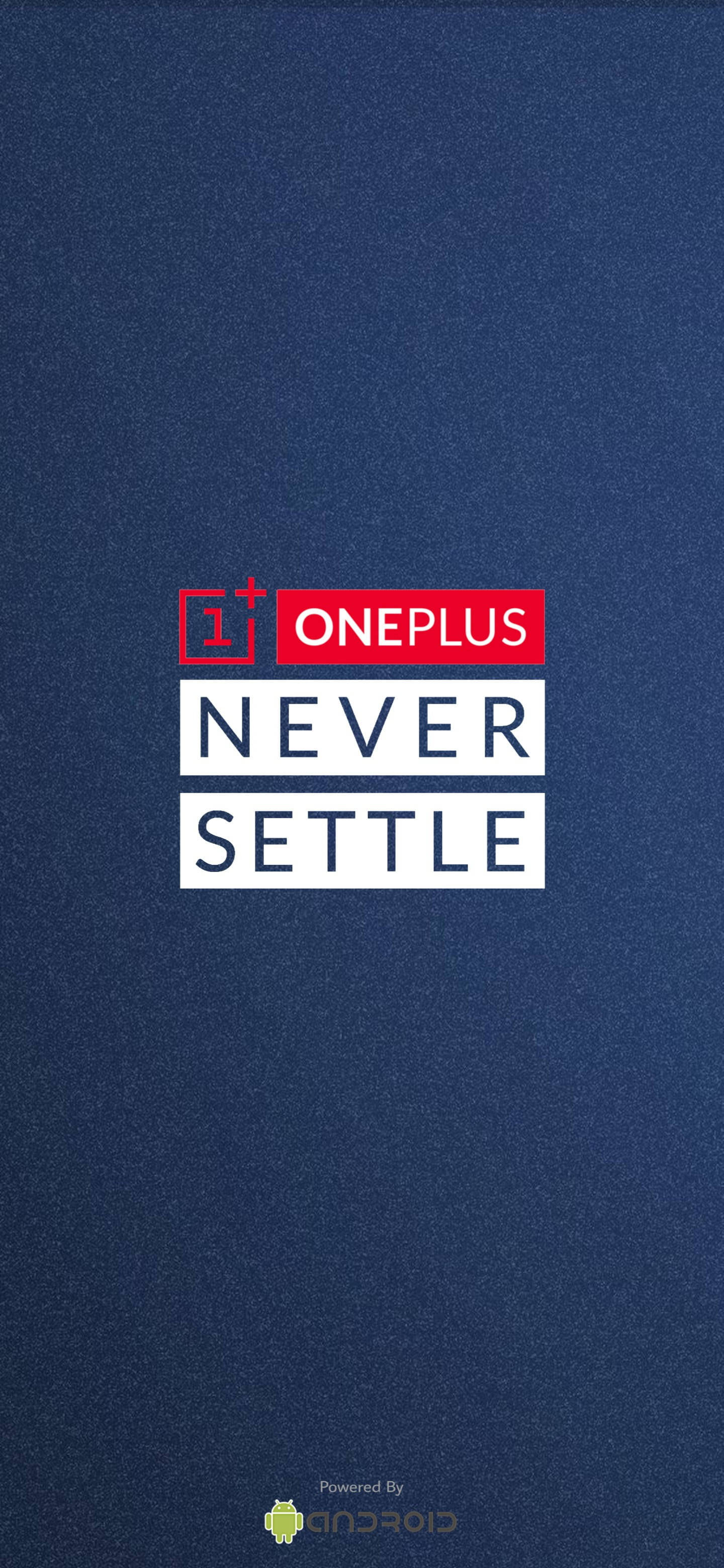 Download Oneplus Nord Grainy Never Settle Wallpaper 
