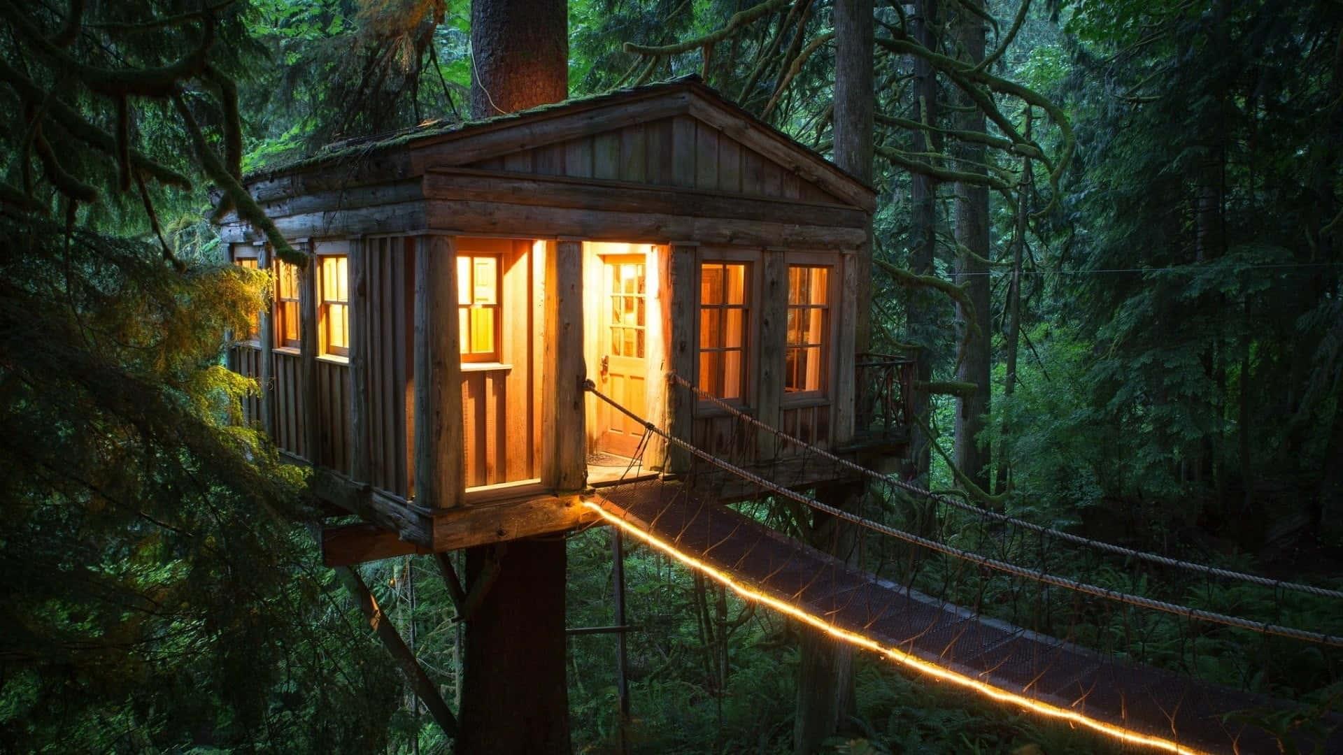 Жилой дом на дереве. Hobbit Treehouse, США. Домик Форест Хаус. Forest House Хижина в лесу. Дом на дереве.
