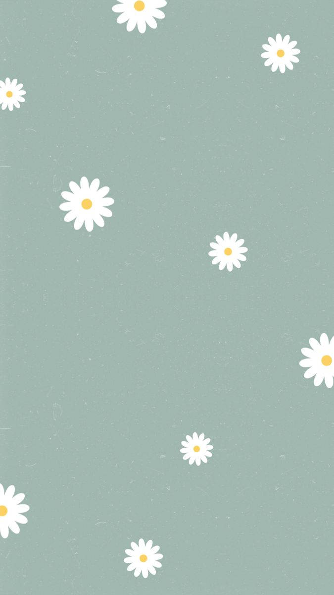 Download Pale Green White Daisy Aesthetic Wallpaper | Wallpapers.com