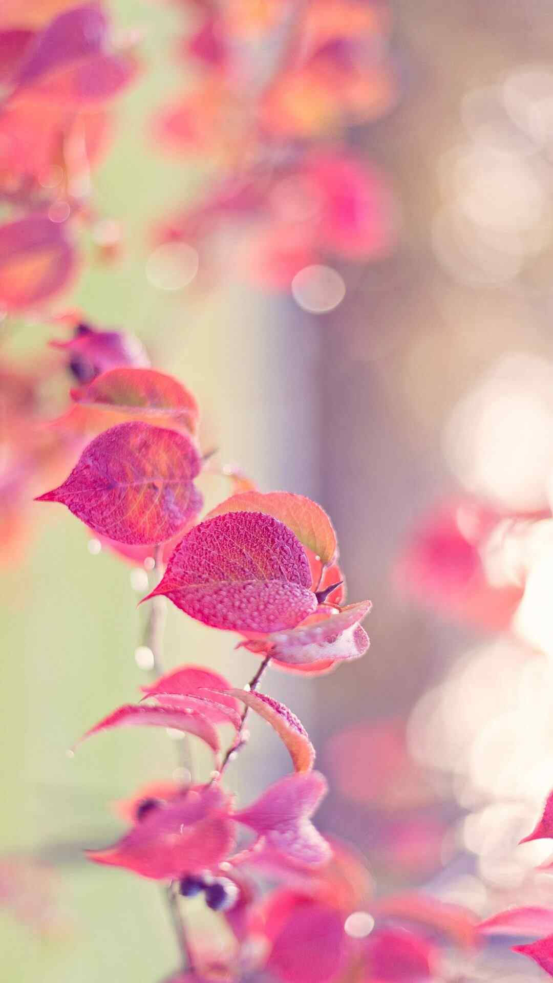 Download Pink Leaves Pretty Phone Wallpaper | Wallpapers.com