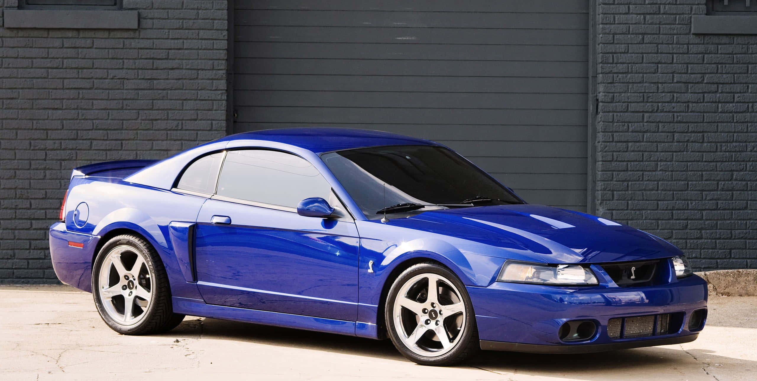 Mustang Cobra 2003