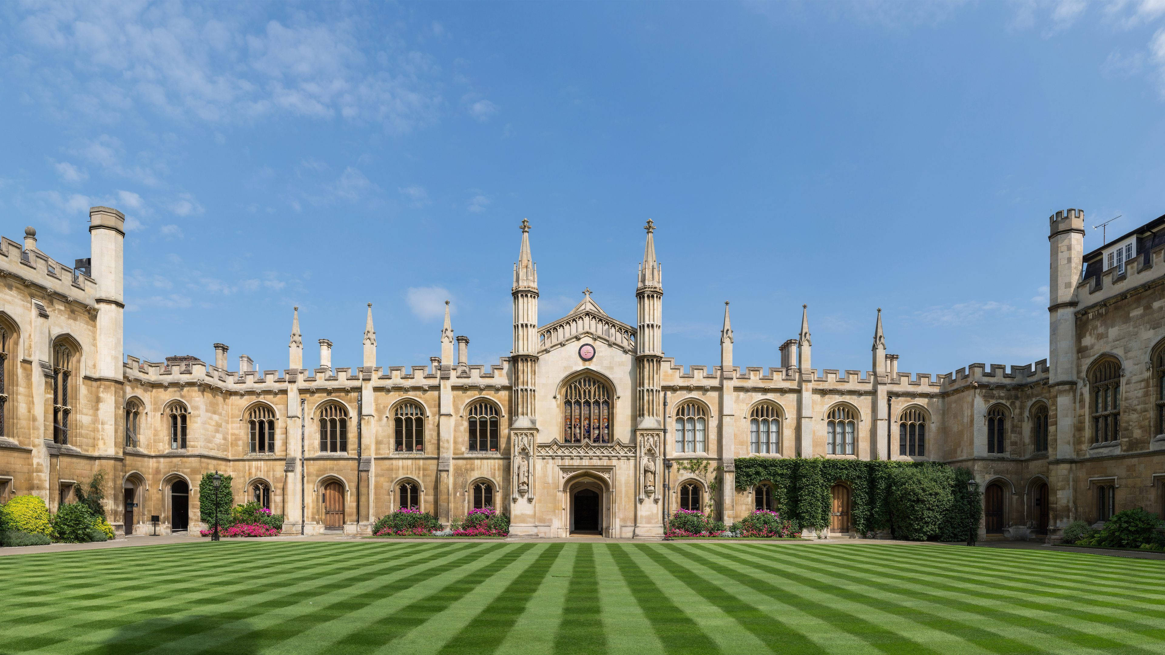 Кембриджский университет. Cambridge University. Искусство в Кембридж. Клиники Кембриджского университета. Медицинская школа в Кембридже.