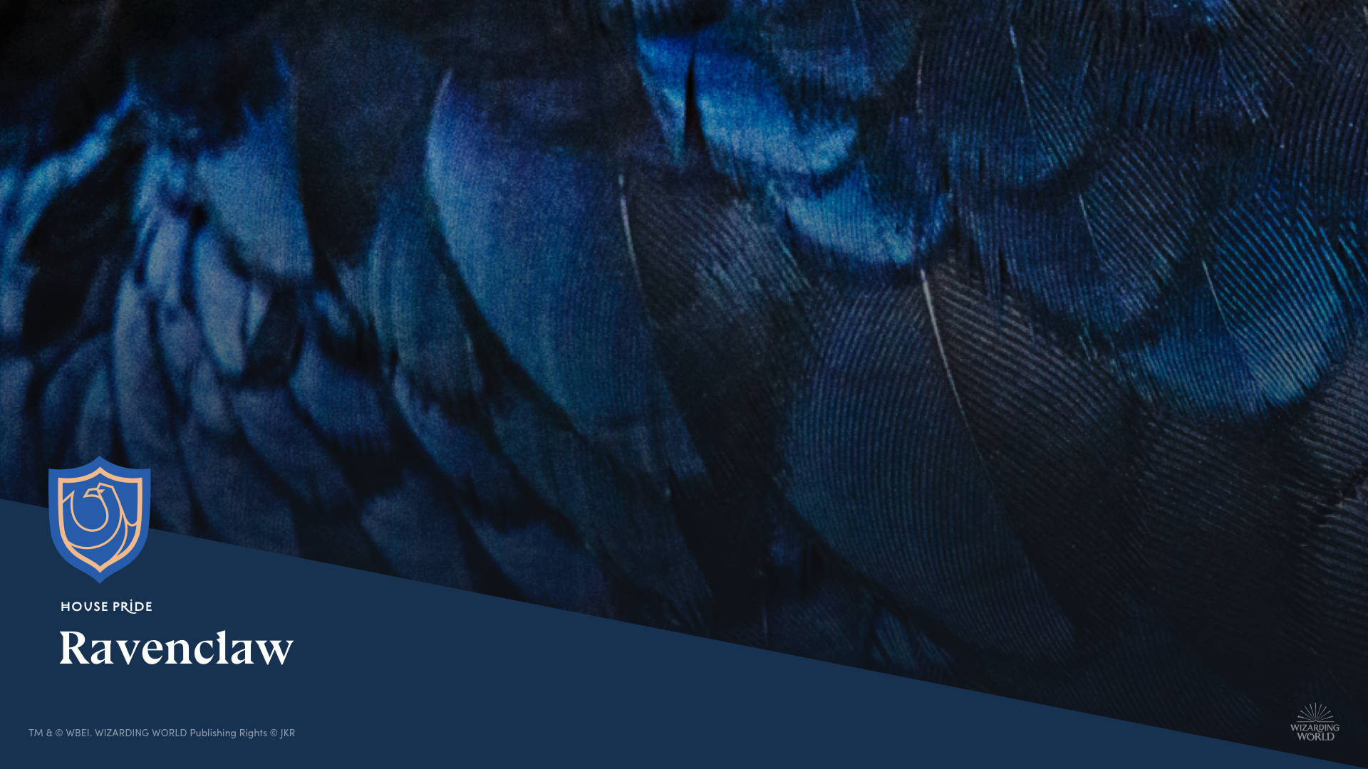 Ravenclaw House Pride Blue Feather Background