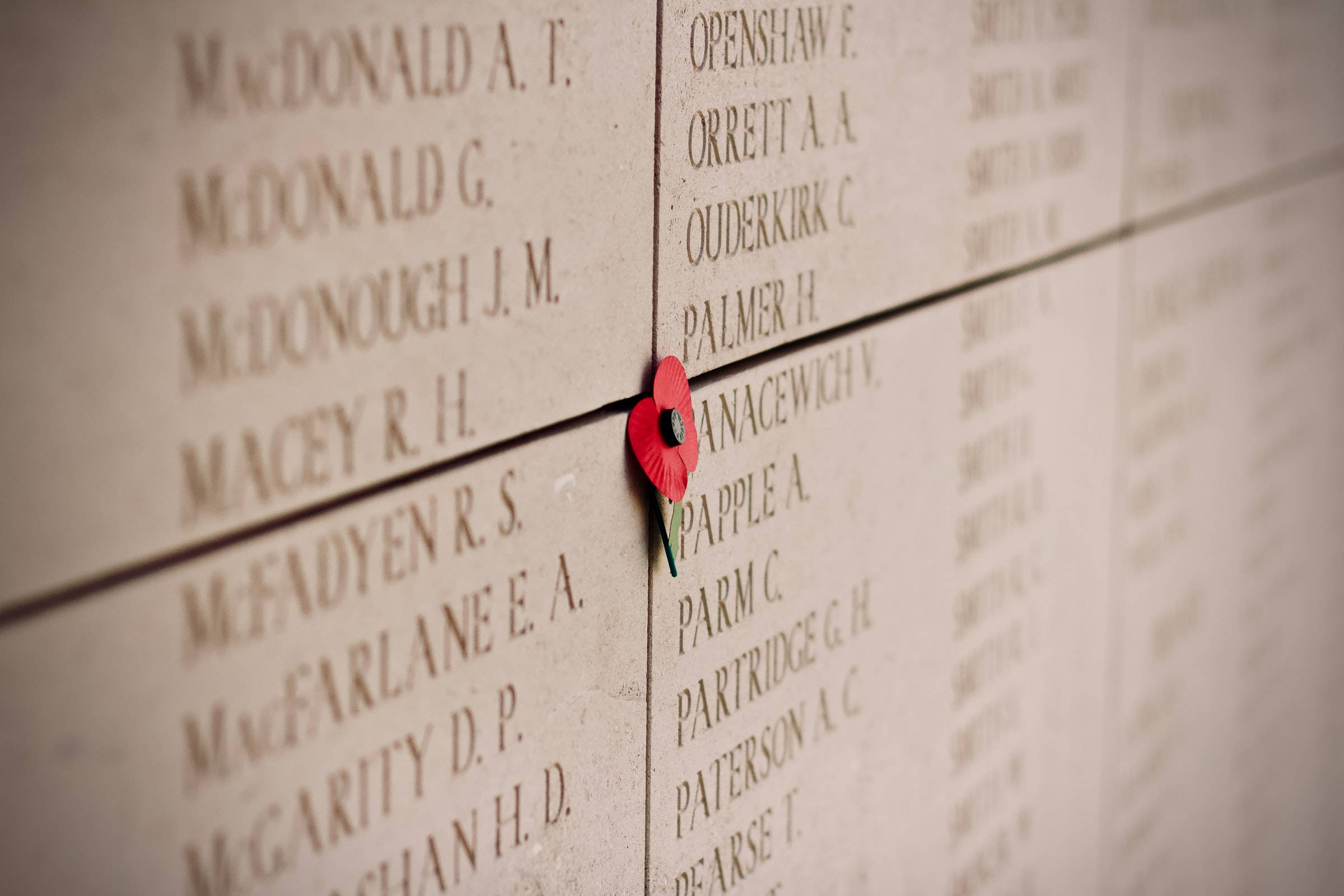 Download Remembrance Day Names Wallpaper 