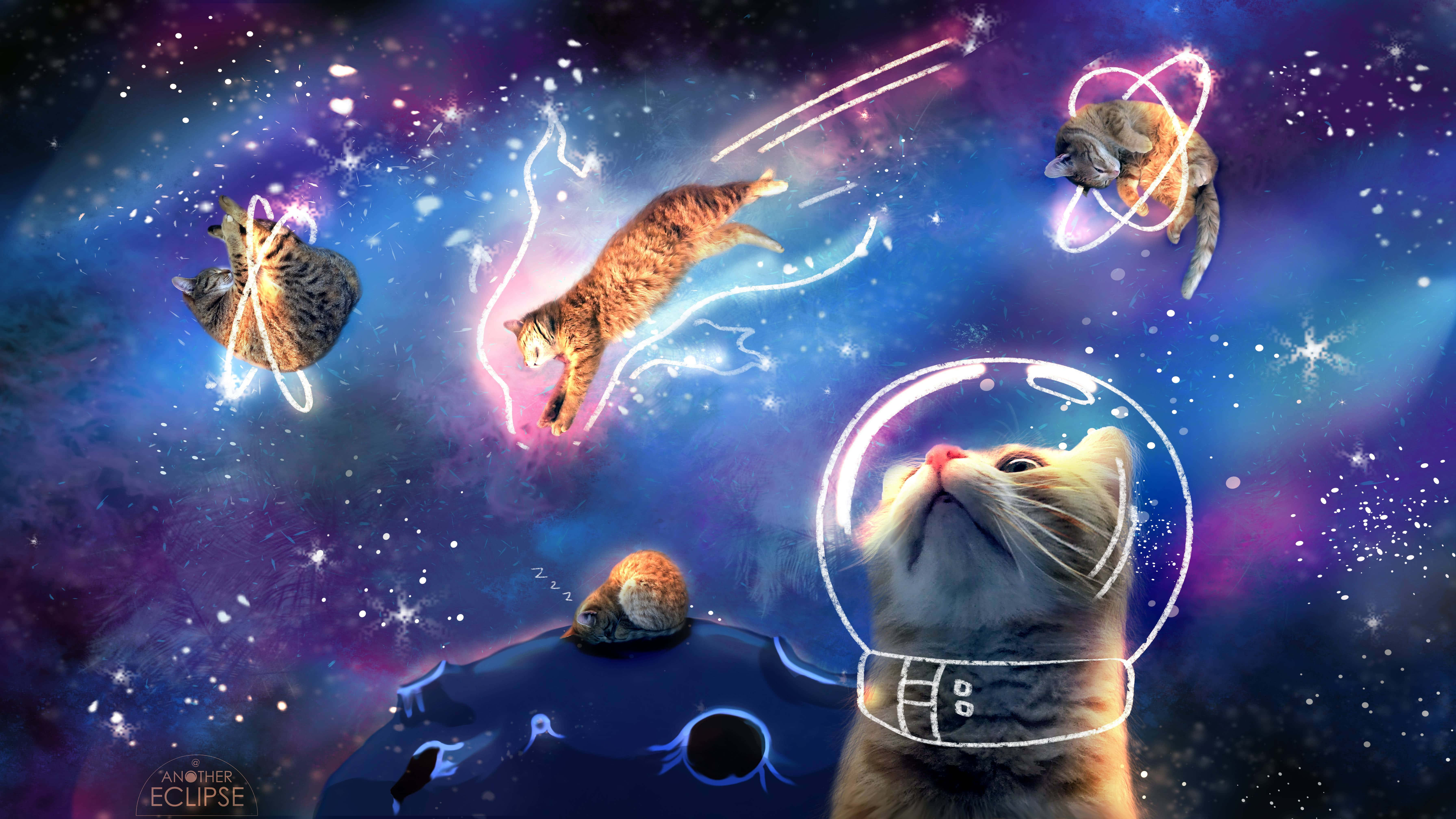 Download Ridiculous Space Cats Wallpaper