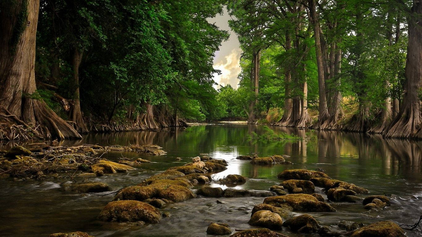 Rocky Forest River Background