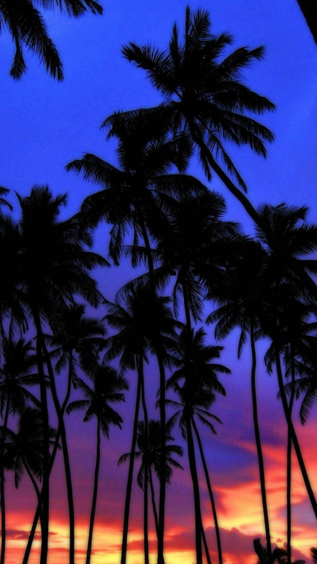 Romantic Island Palm Tree Sunset Background
