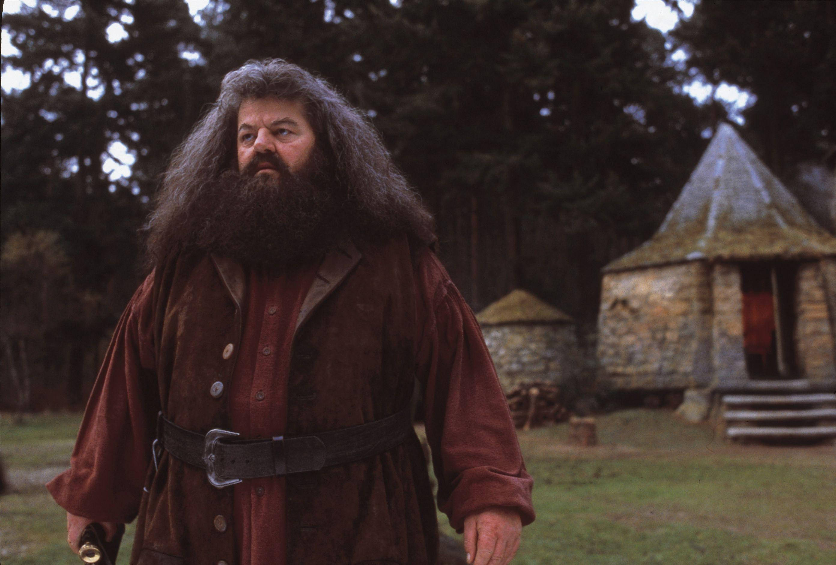 Download Rubeus Hagrid Hut Wallpaper | Wallpapers.com