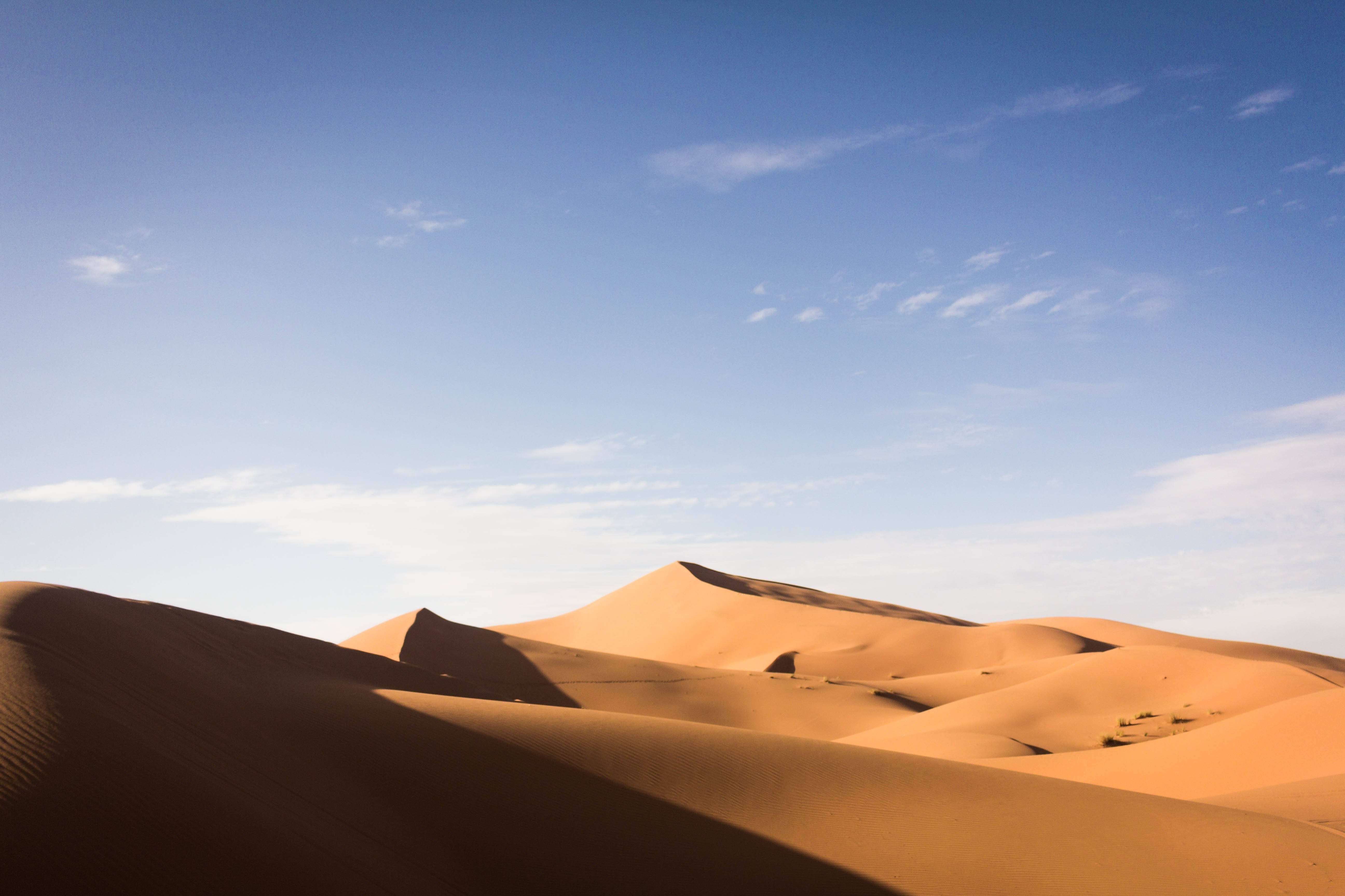 Download Sahara Brown Sand Field Wallpaper | Wallpapers.com
