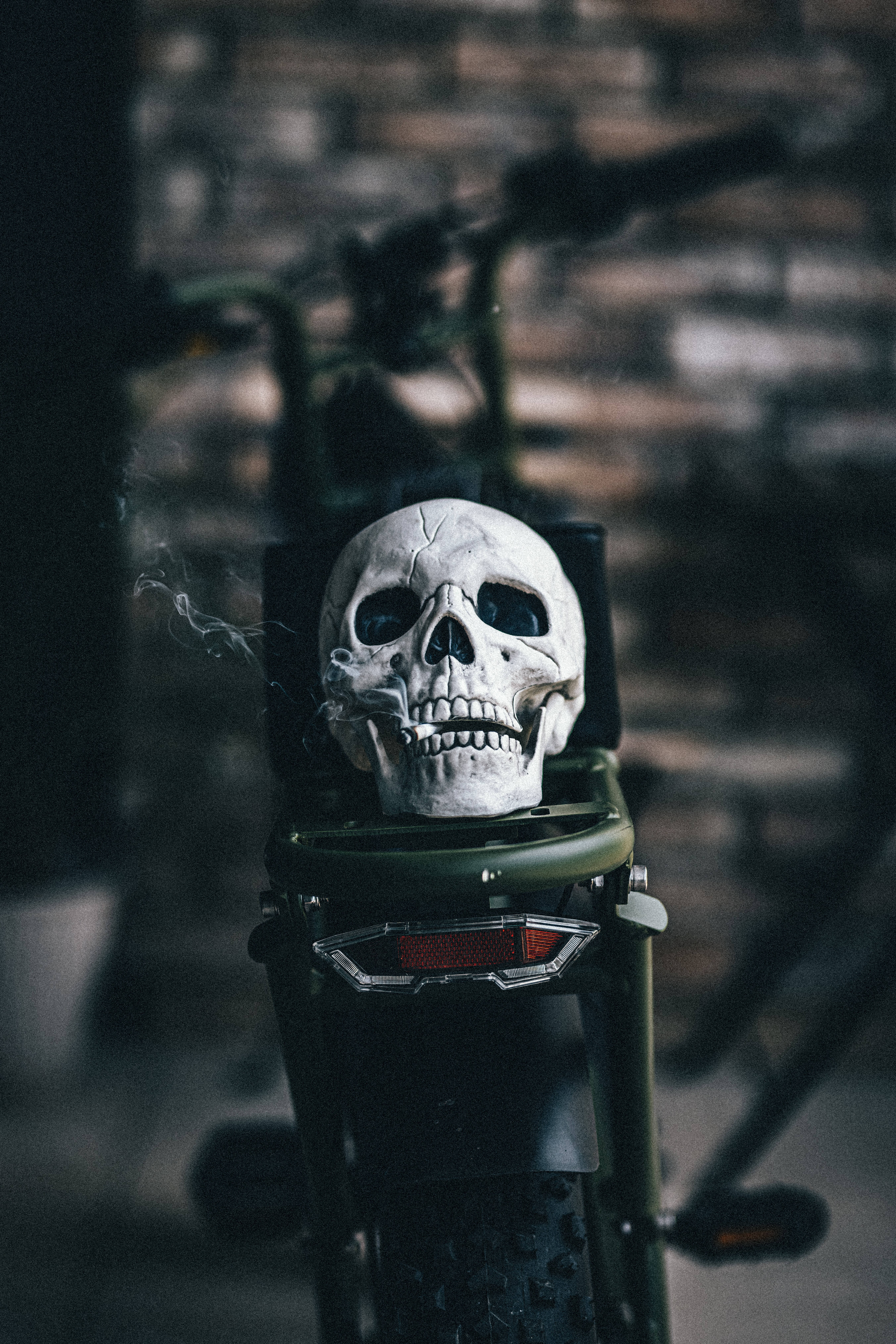 Download Scary Skull On A Bike Wallpaper 