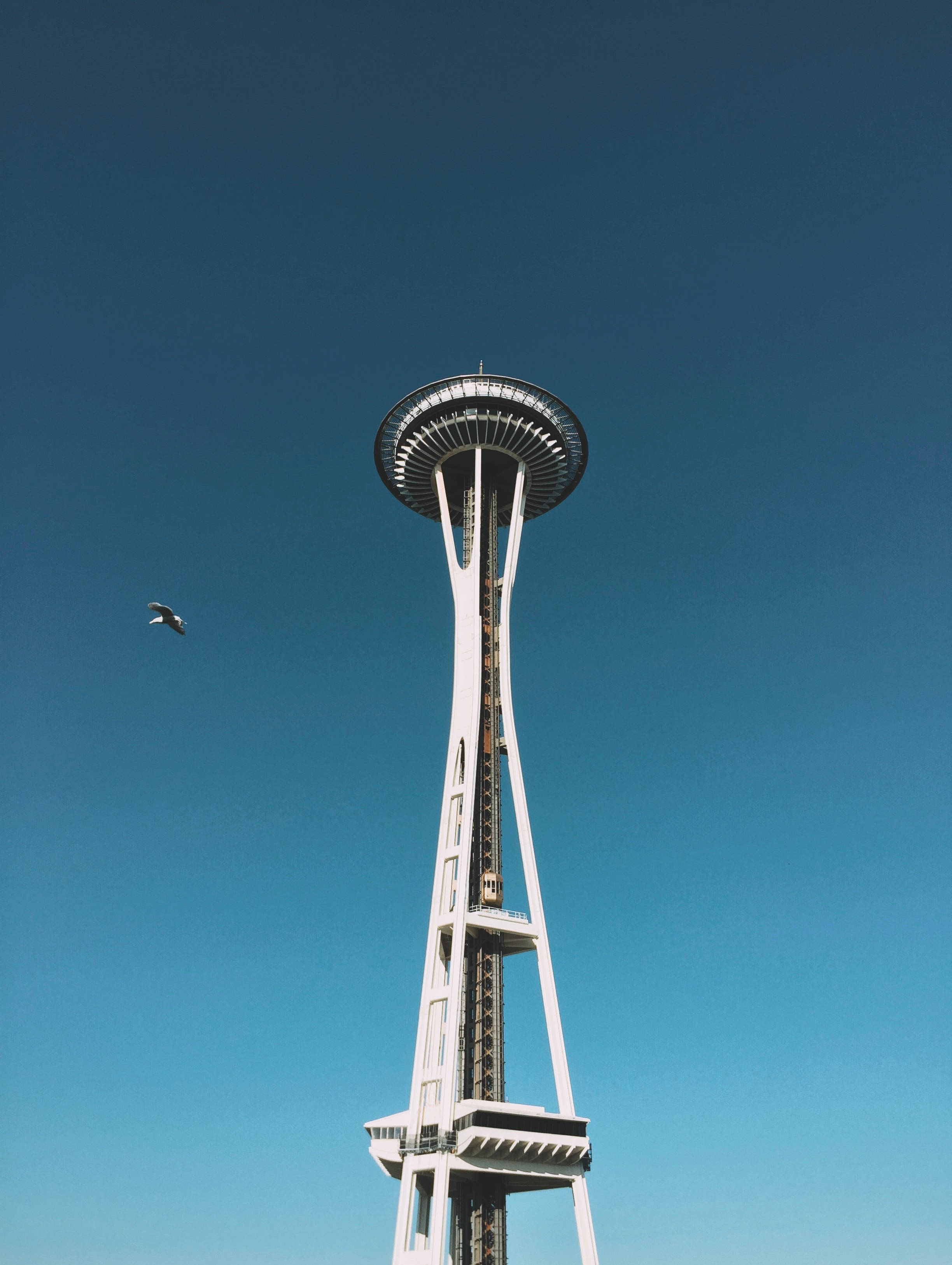 Download Seattle Iphone Space Needle Wallpaper 