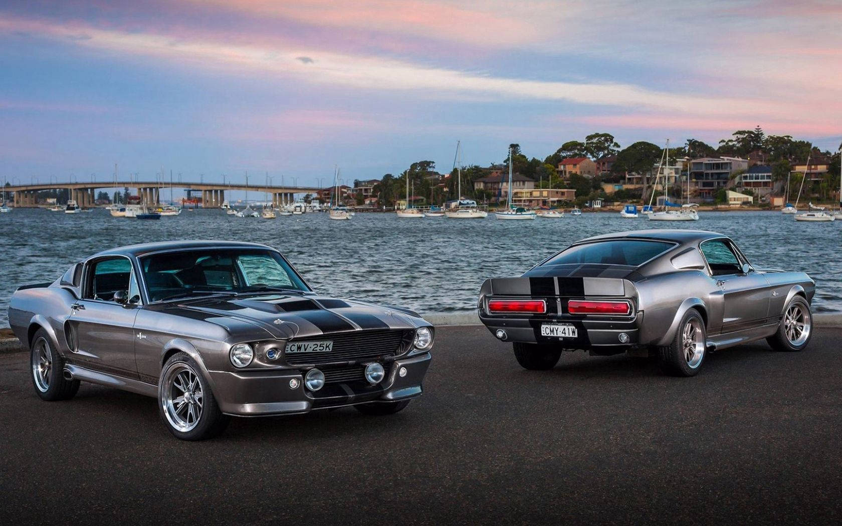 Silver Ford Mustangs In Port Background