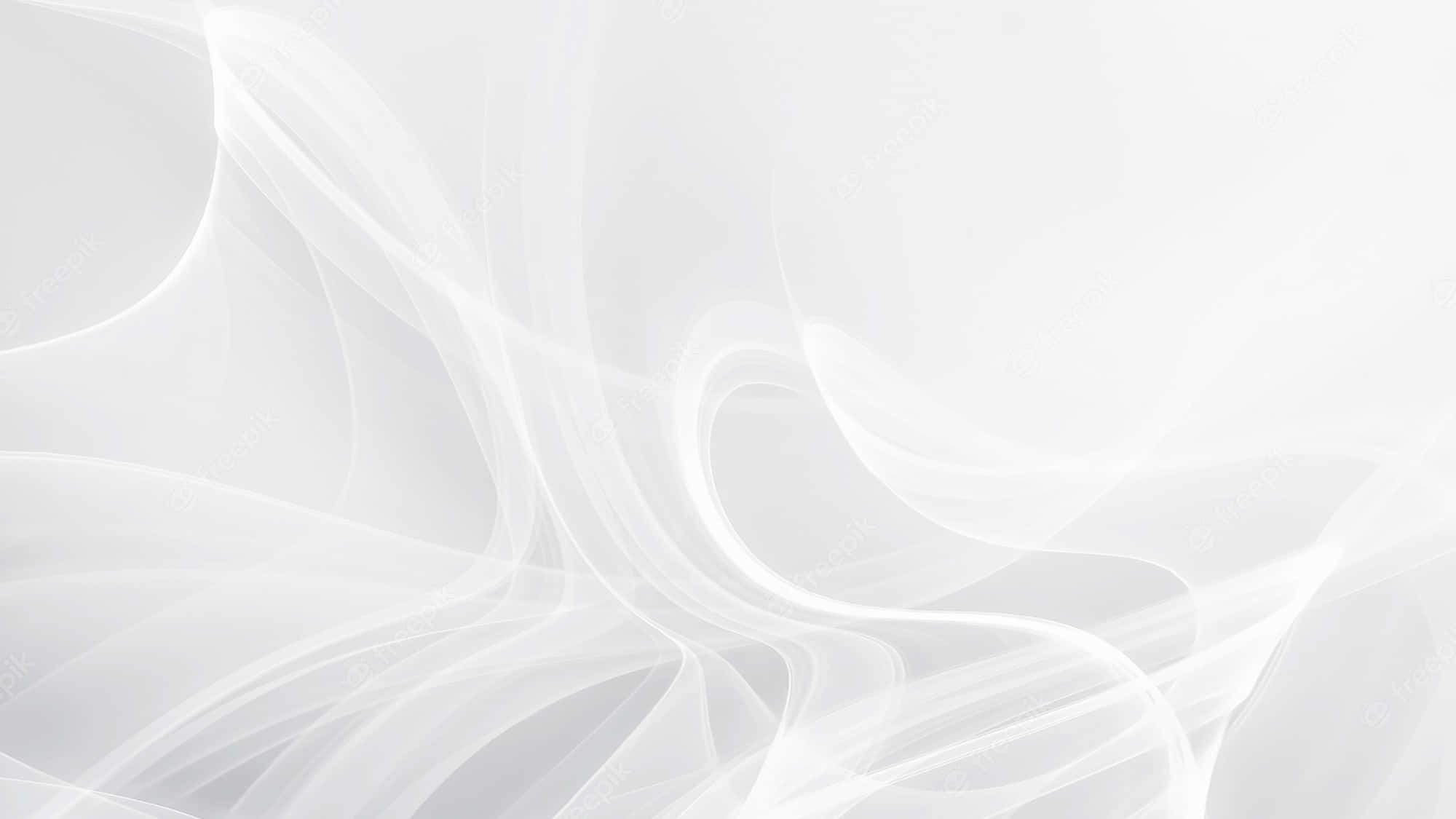 Download Simple White Background | Wallpapers.com