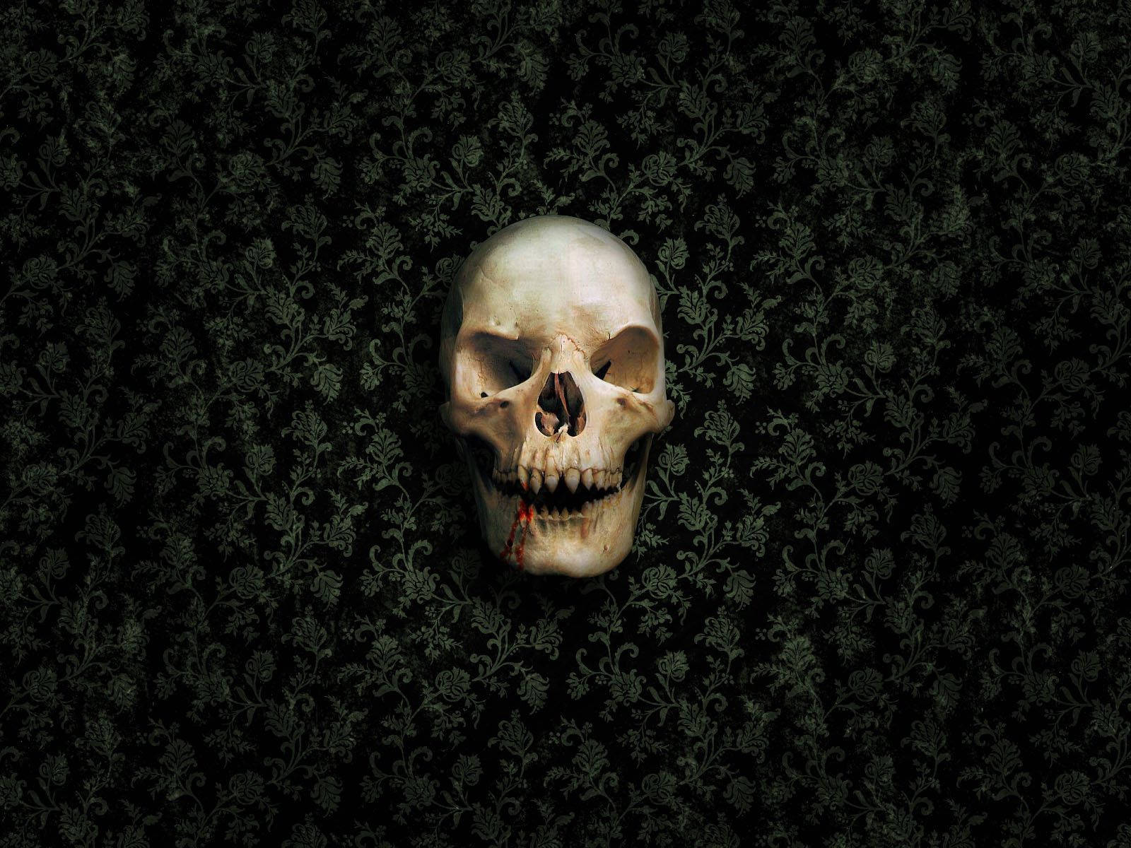 Skull Skeleton Fanart Background