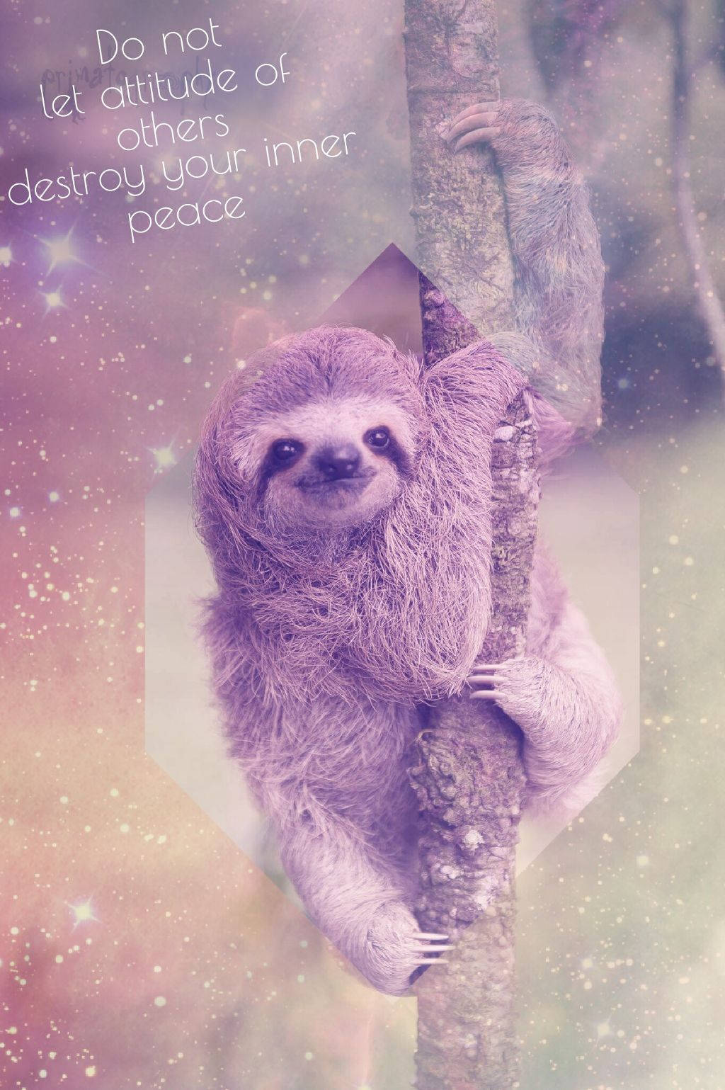 Sloth Clinging On Tree Background