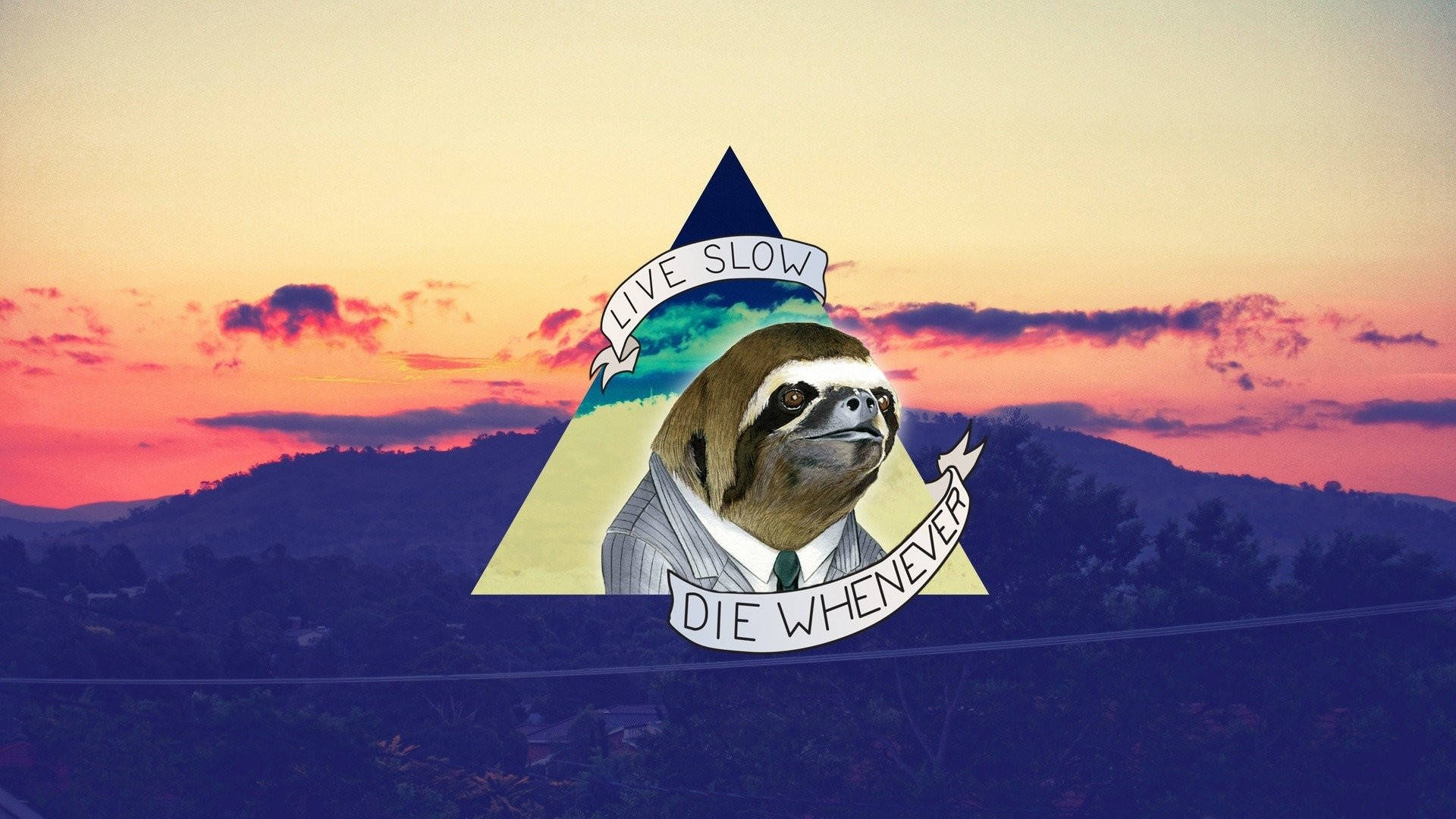 Sloth On Triangle Background