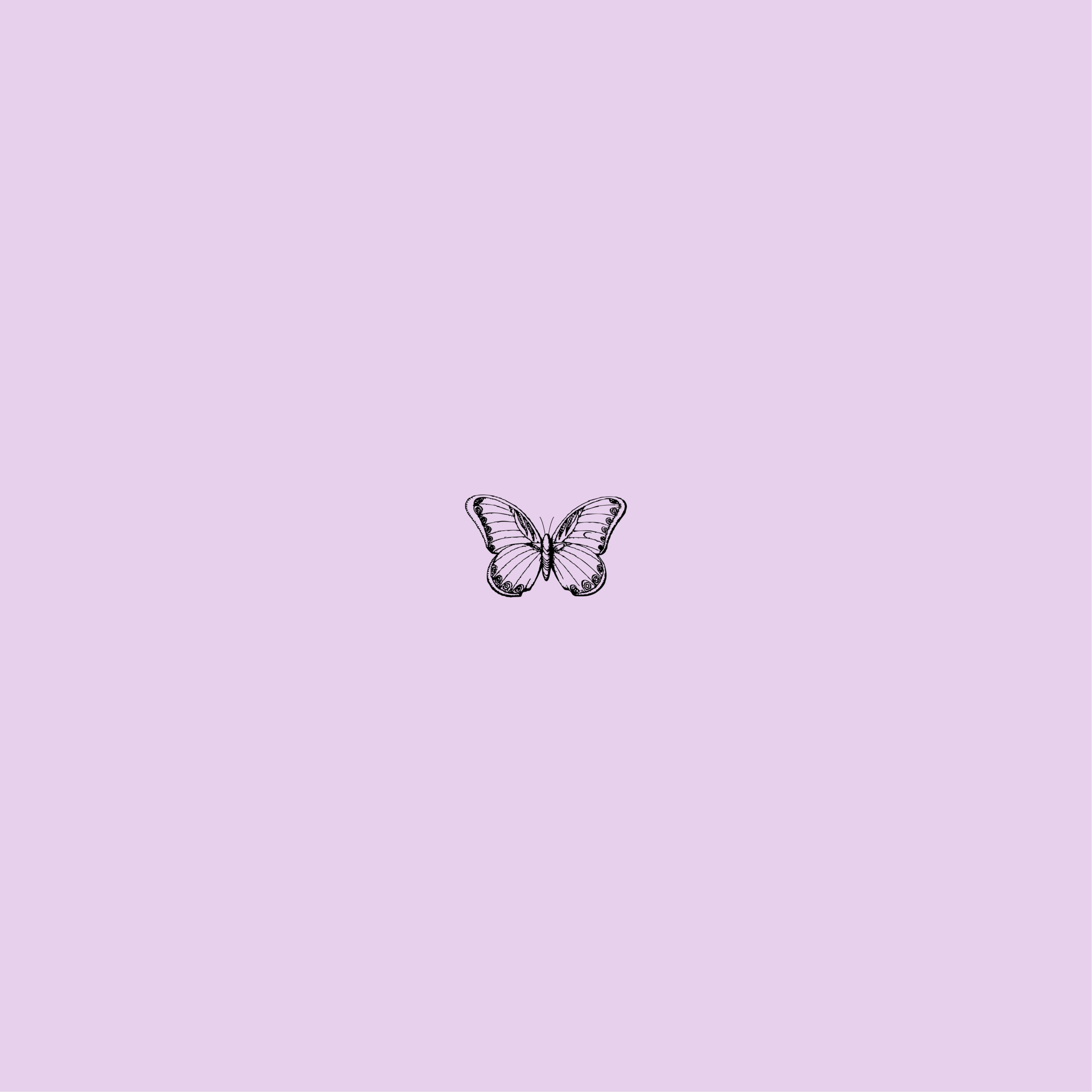 Download Small Purple Butterfly Phone Background Wallpaper | Wallpapers.com