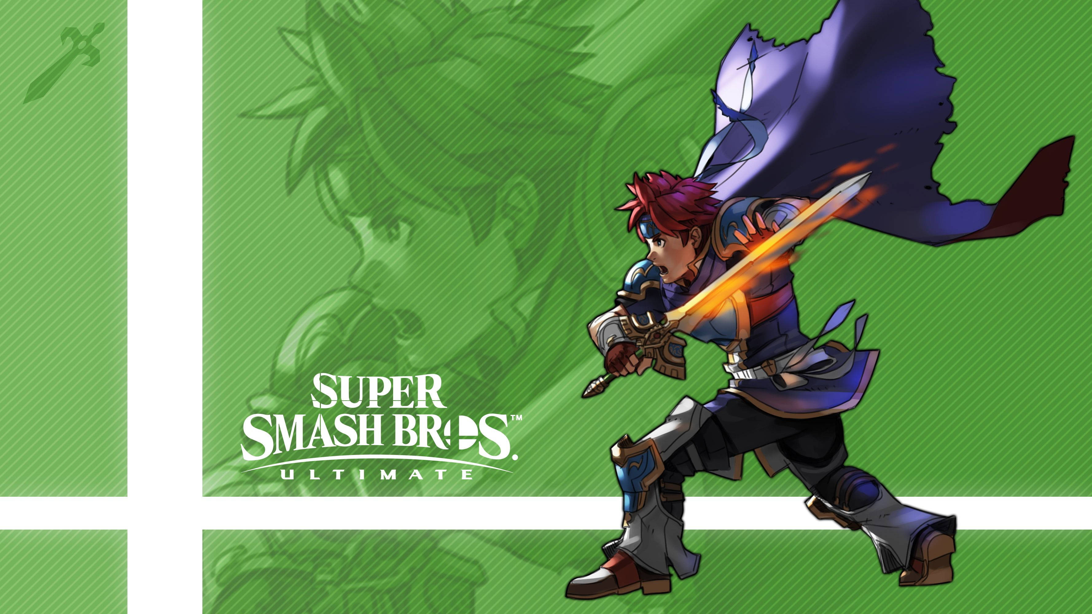 Smash Ultimate Roy Background