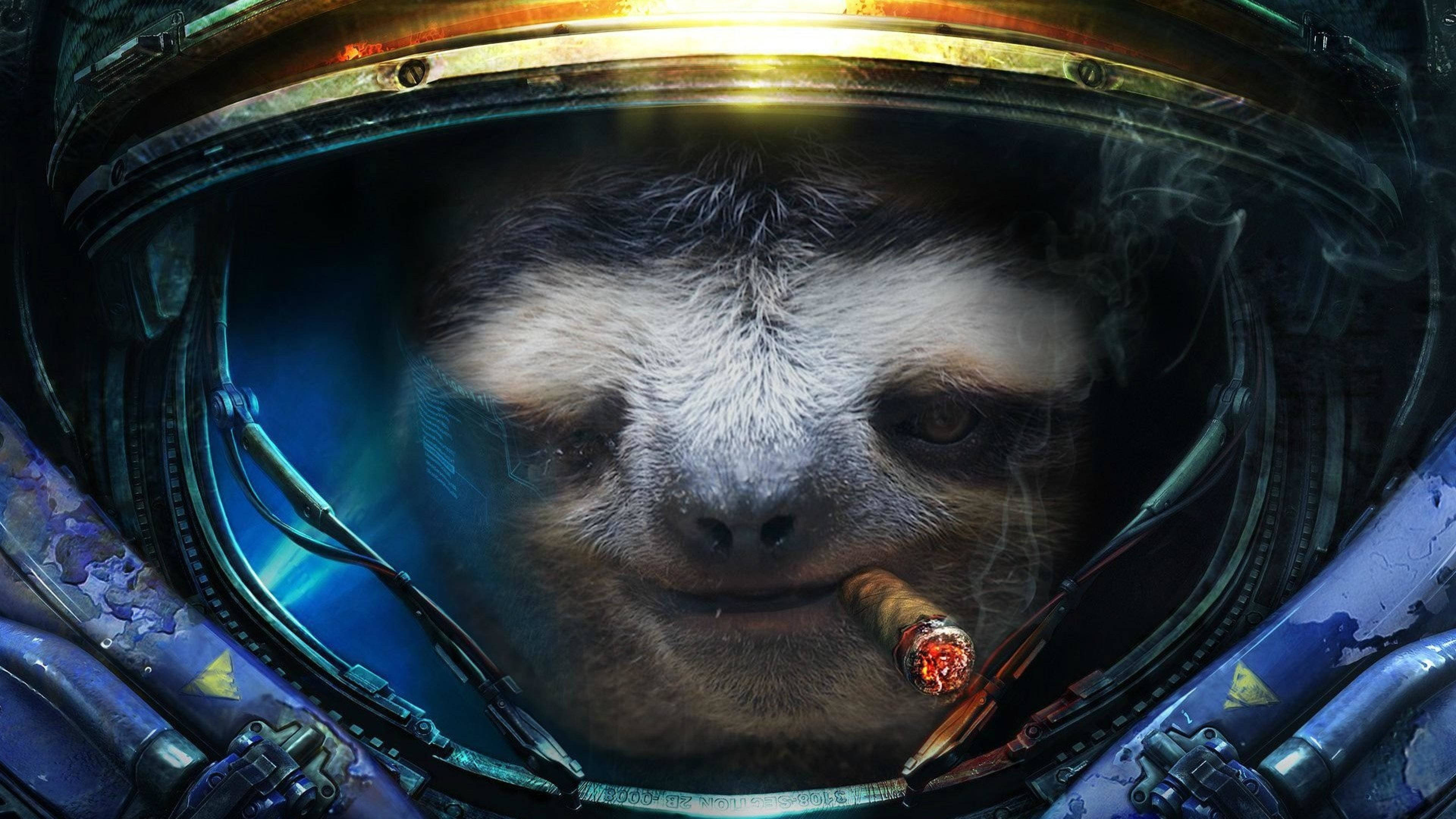 Smoking Sloth Poster Background