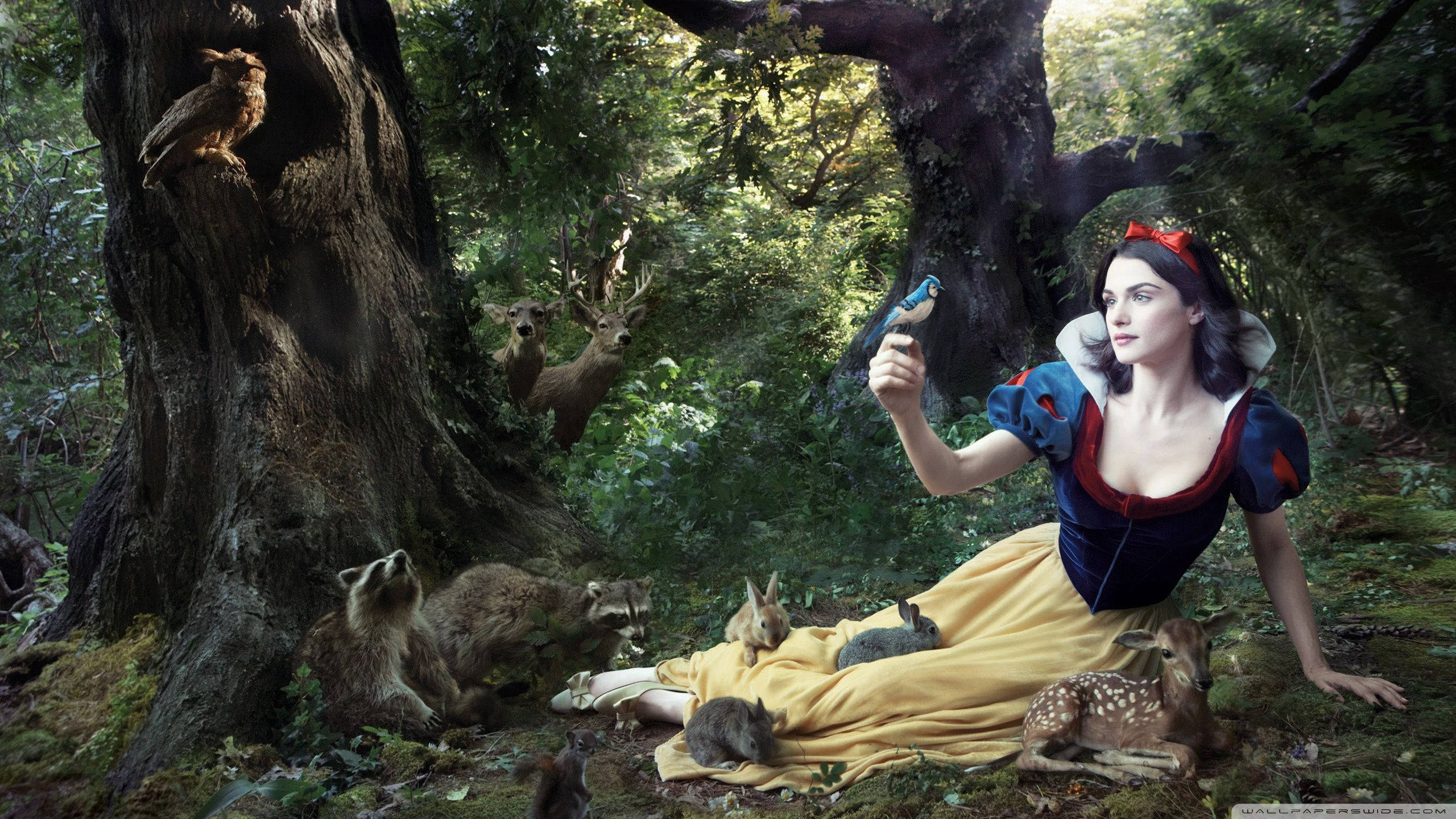 Snow White In The Forest Background