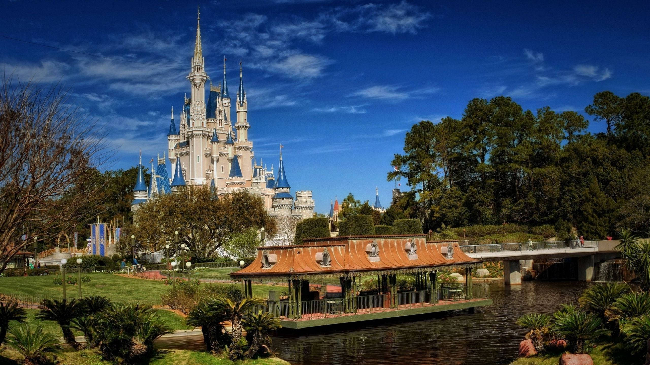 Spectacular Disney World Castle Background