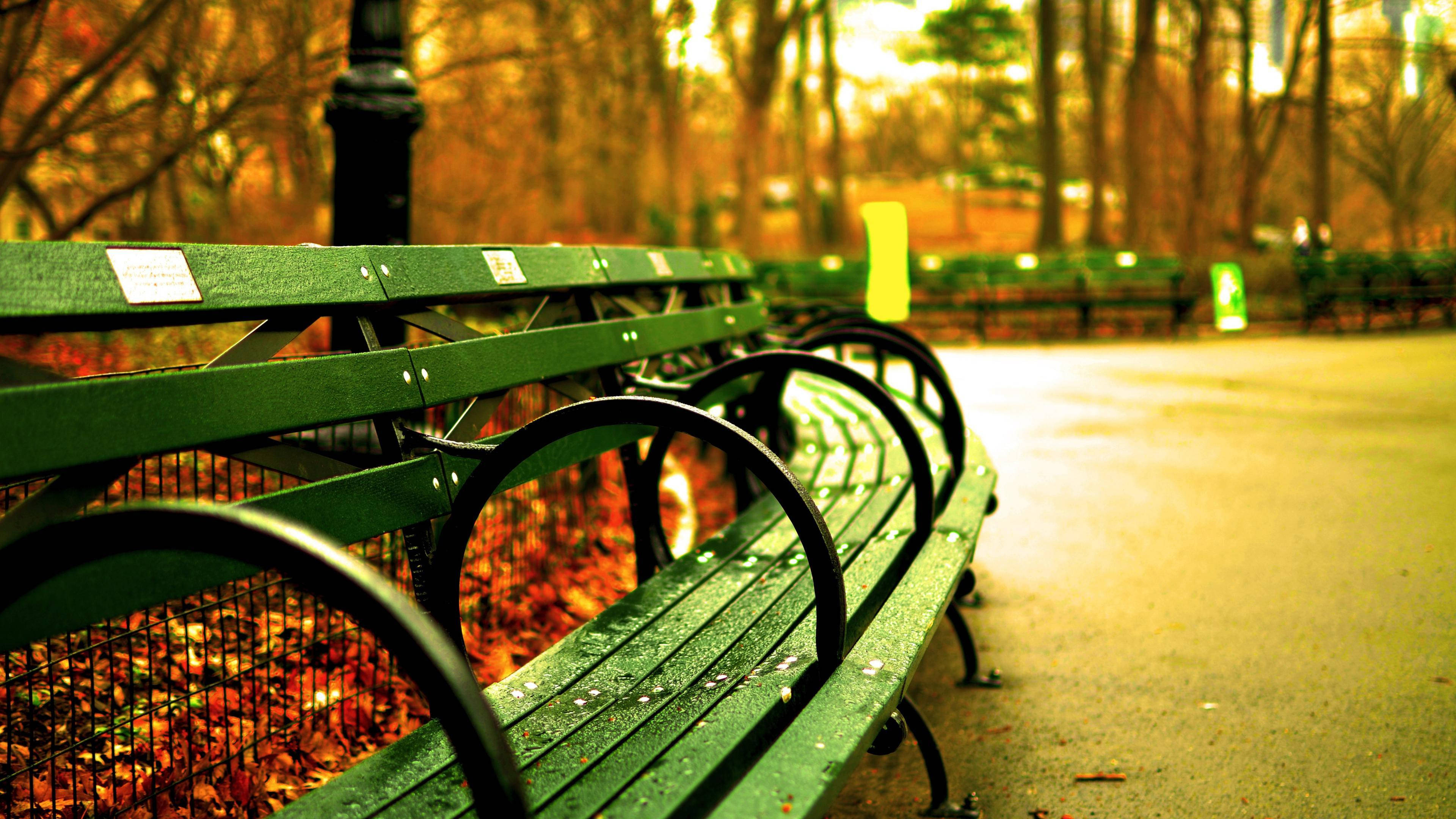 Spend Some Time To Relax In The Green Park Bench Background